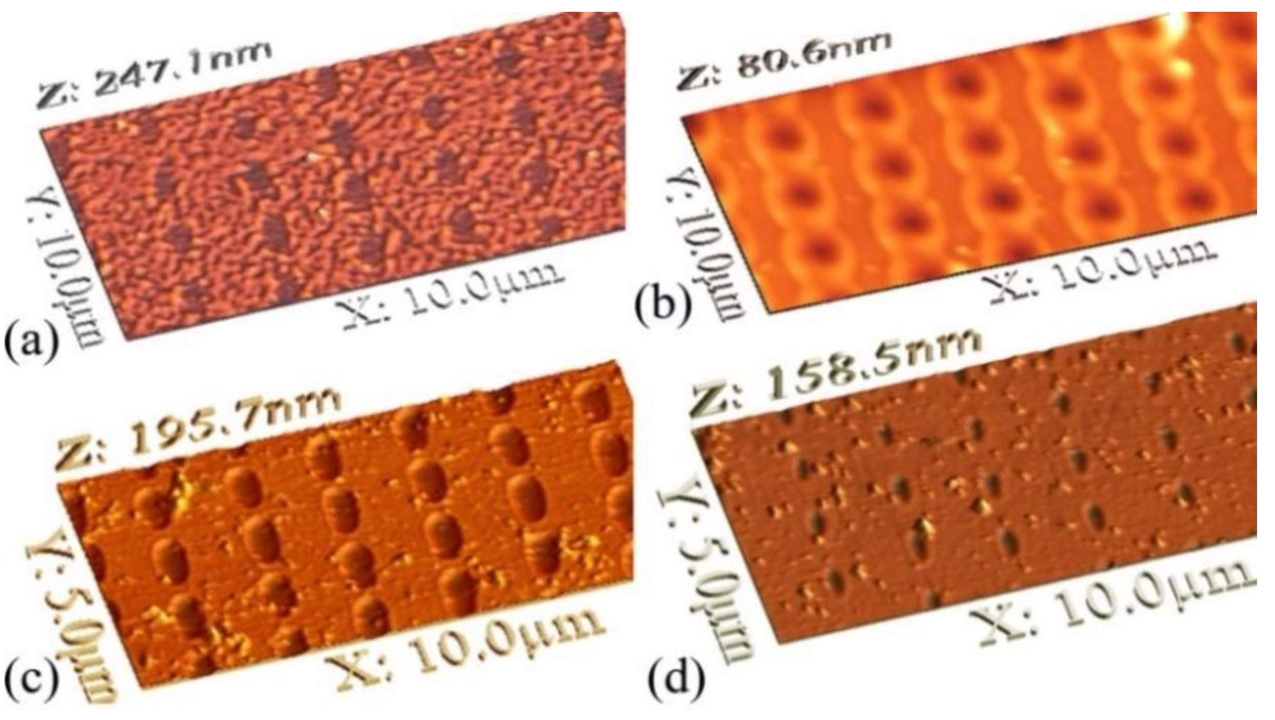 Surfaces 04 00009 g009