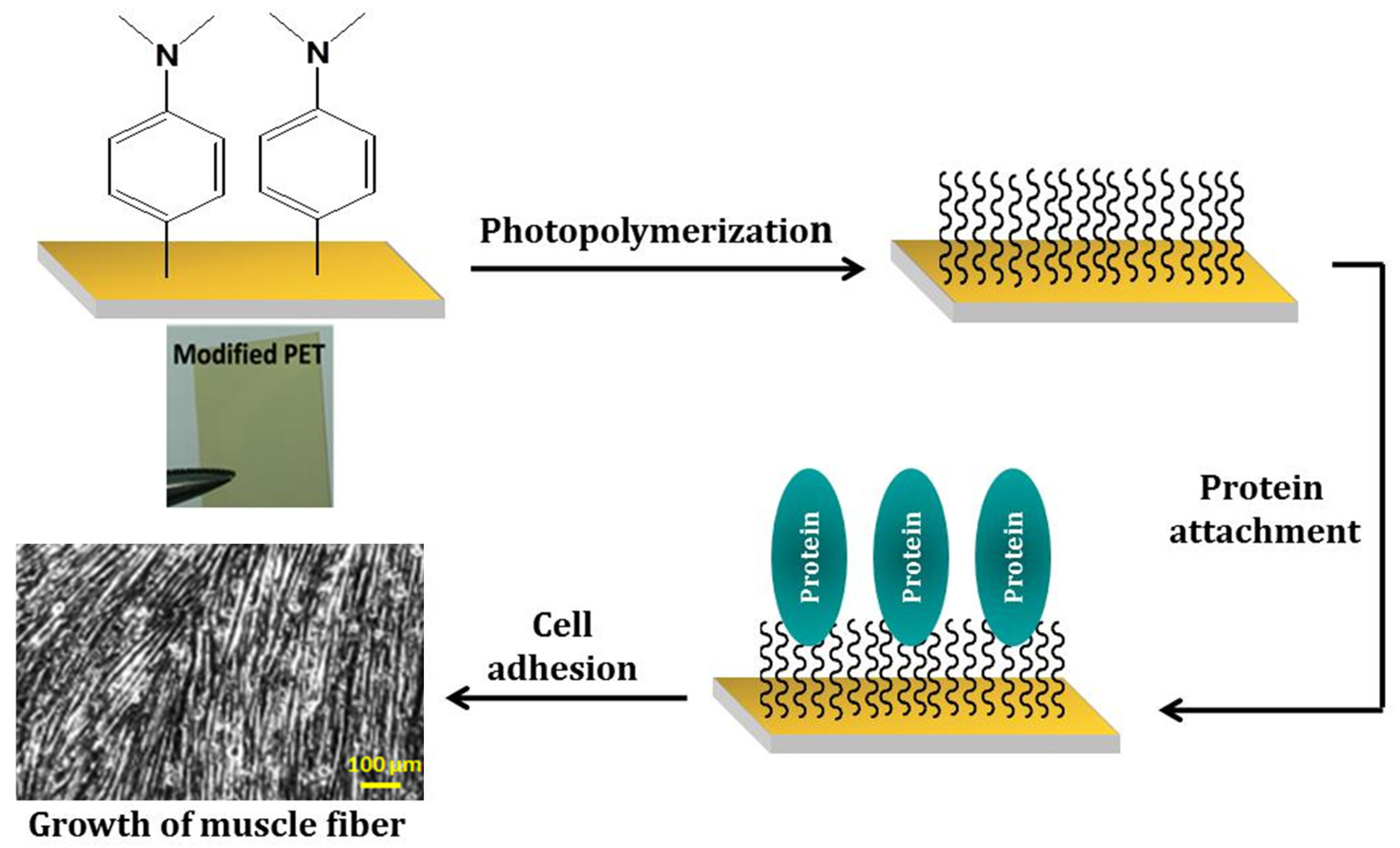 Surfaces 04 00026 g001