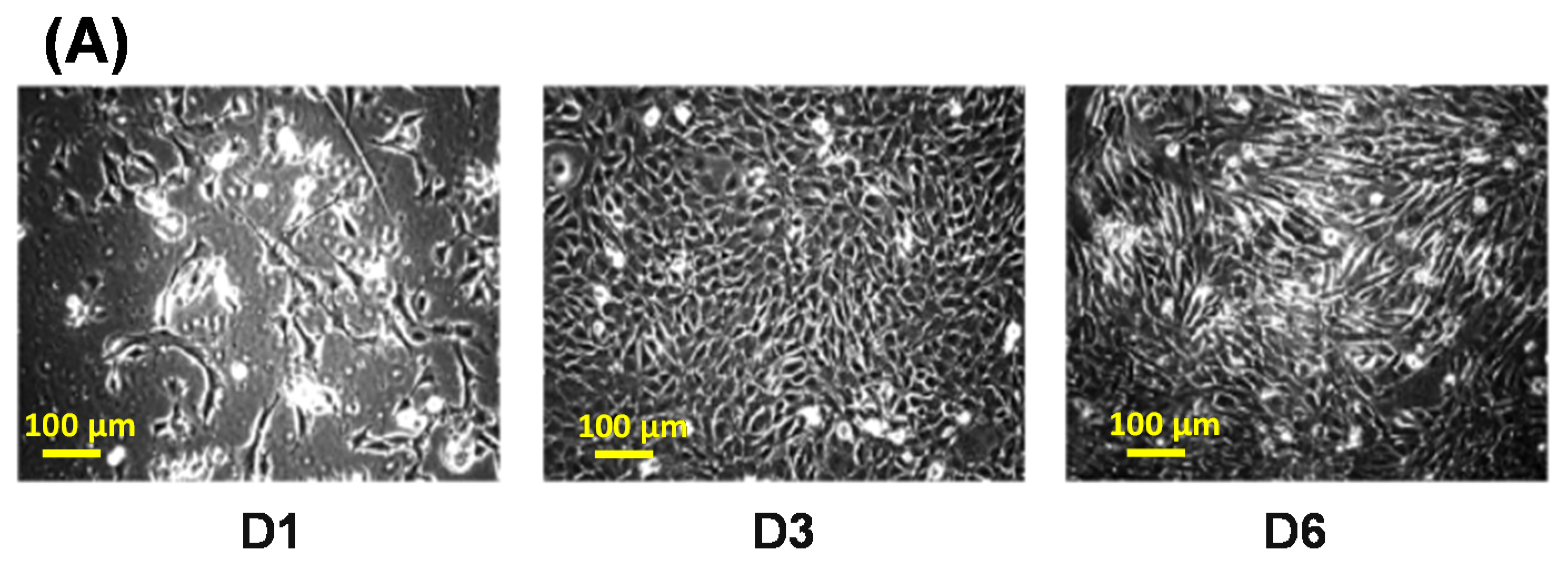 Surfaces 04 00026 g005a