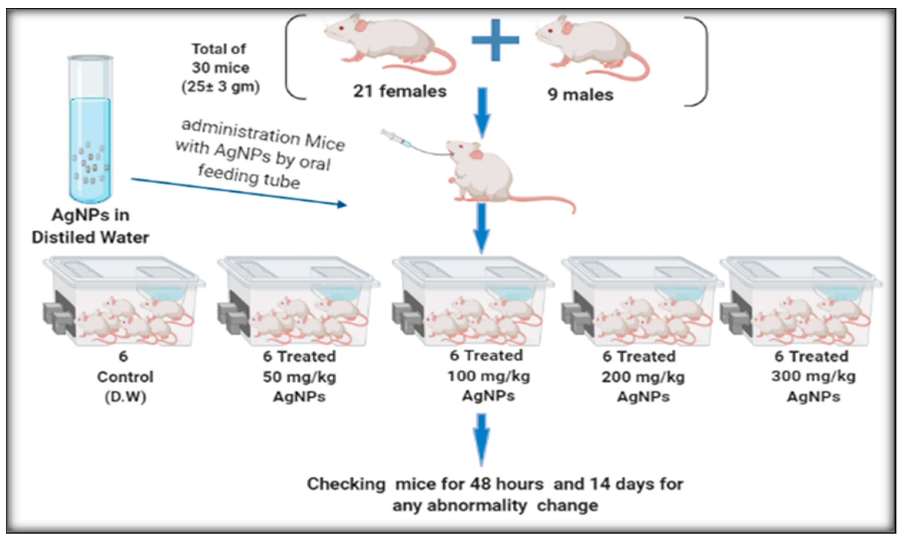 Surfaces 05 00004 g002