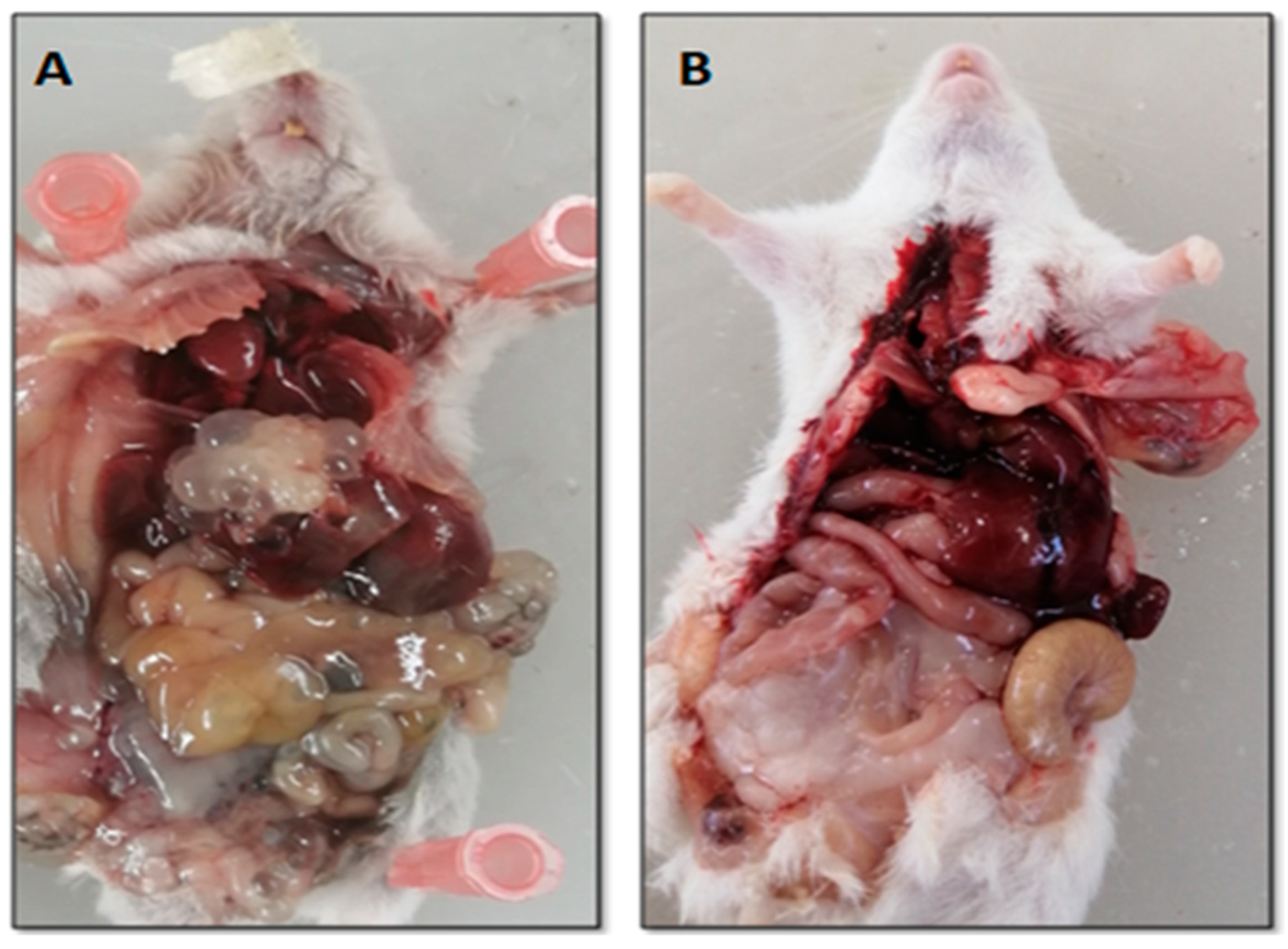 Surfaces 05 00004 g005