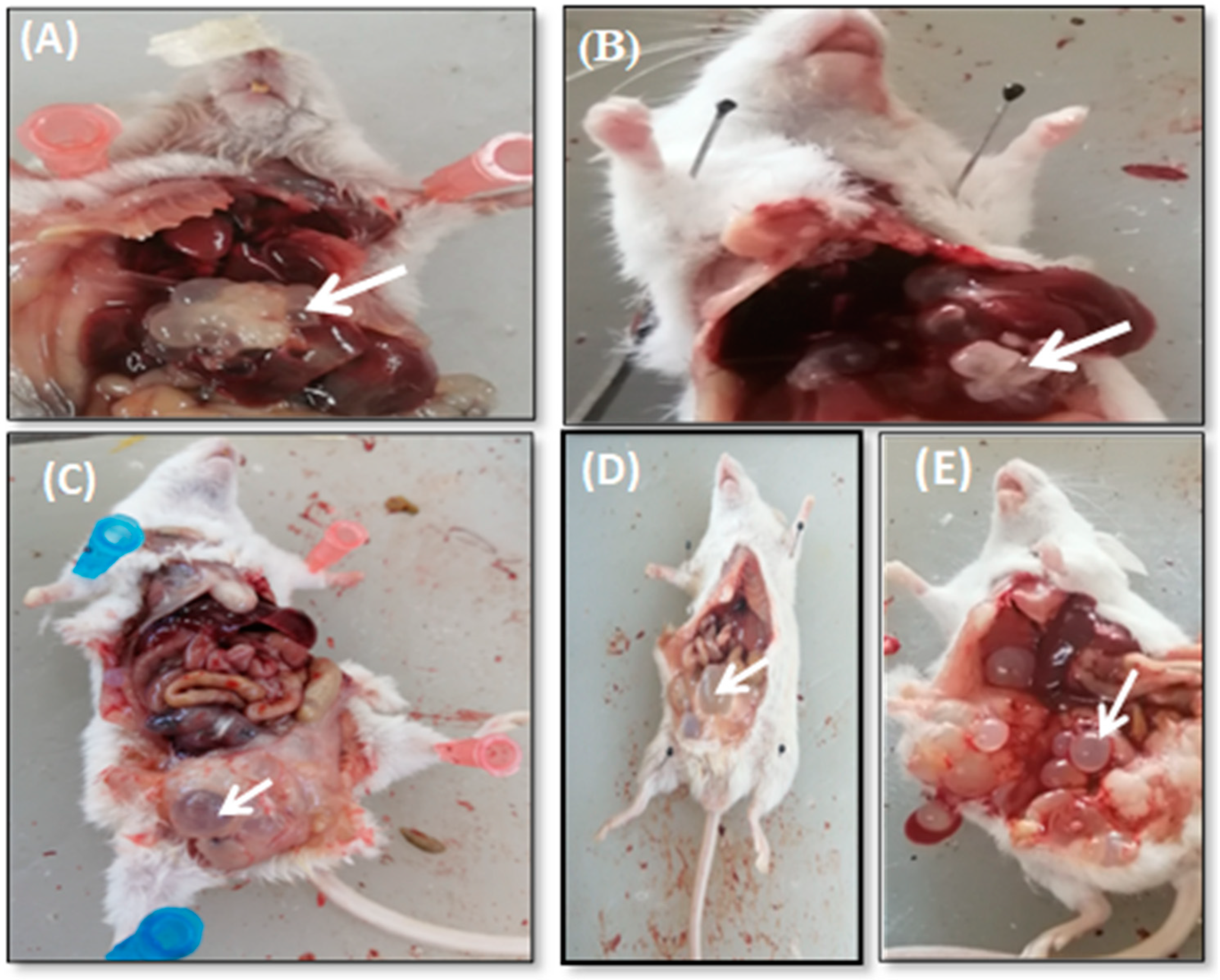 Surfaces 05 00004 g006