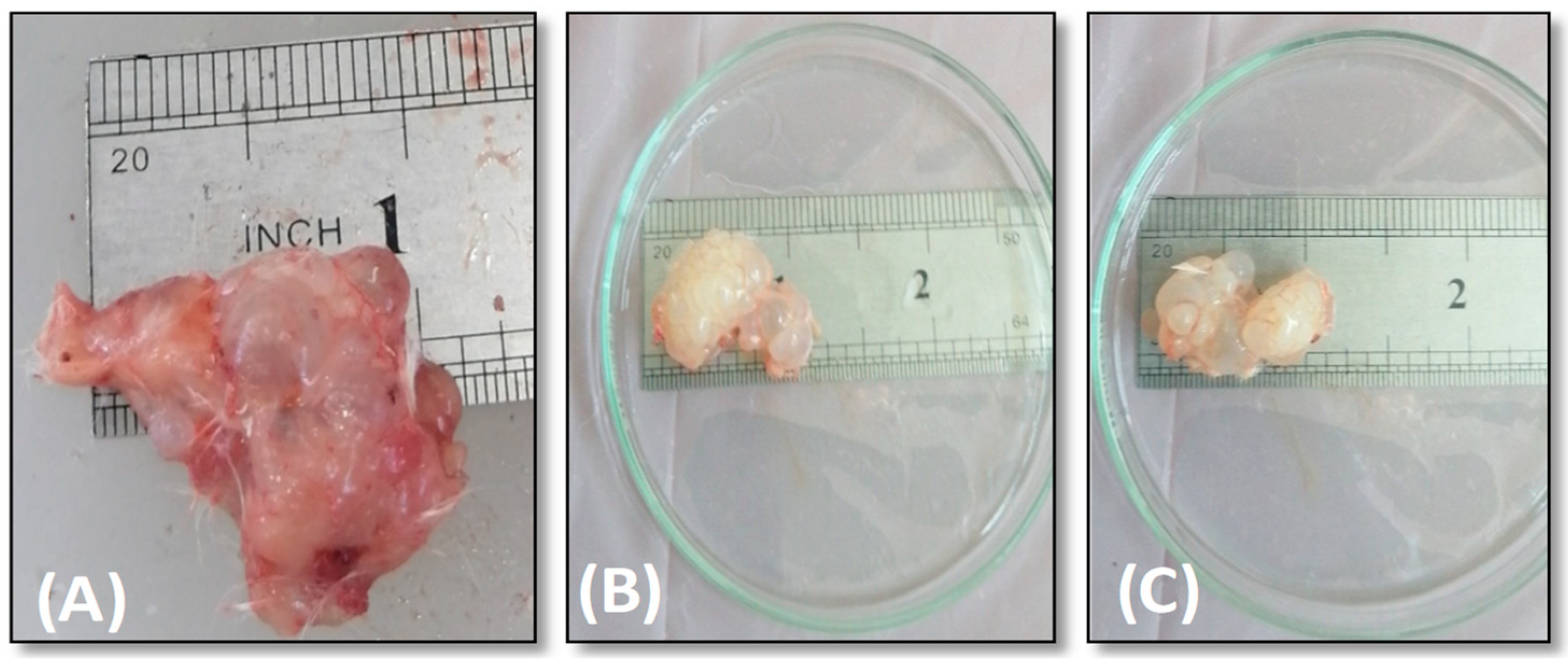 Surfaces 05 00004 g007