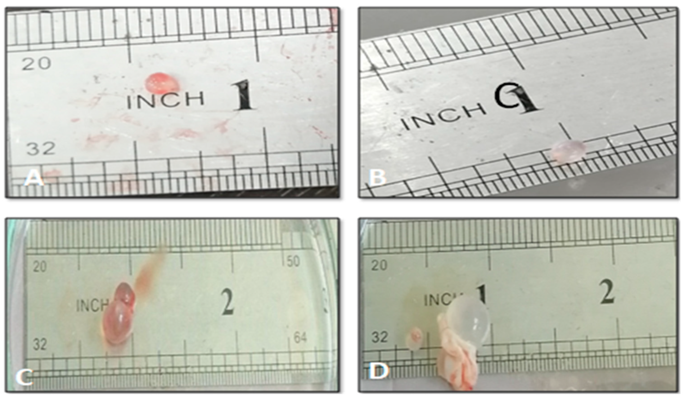 Surfaces 05 00004 g008