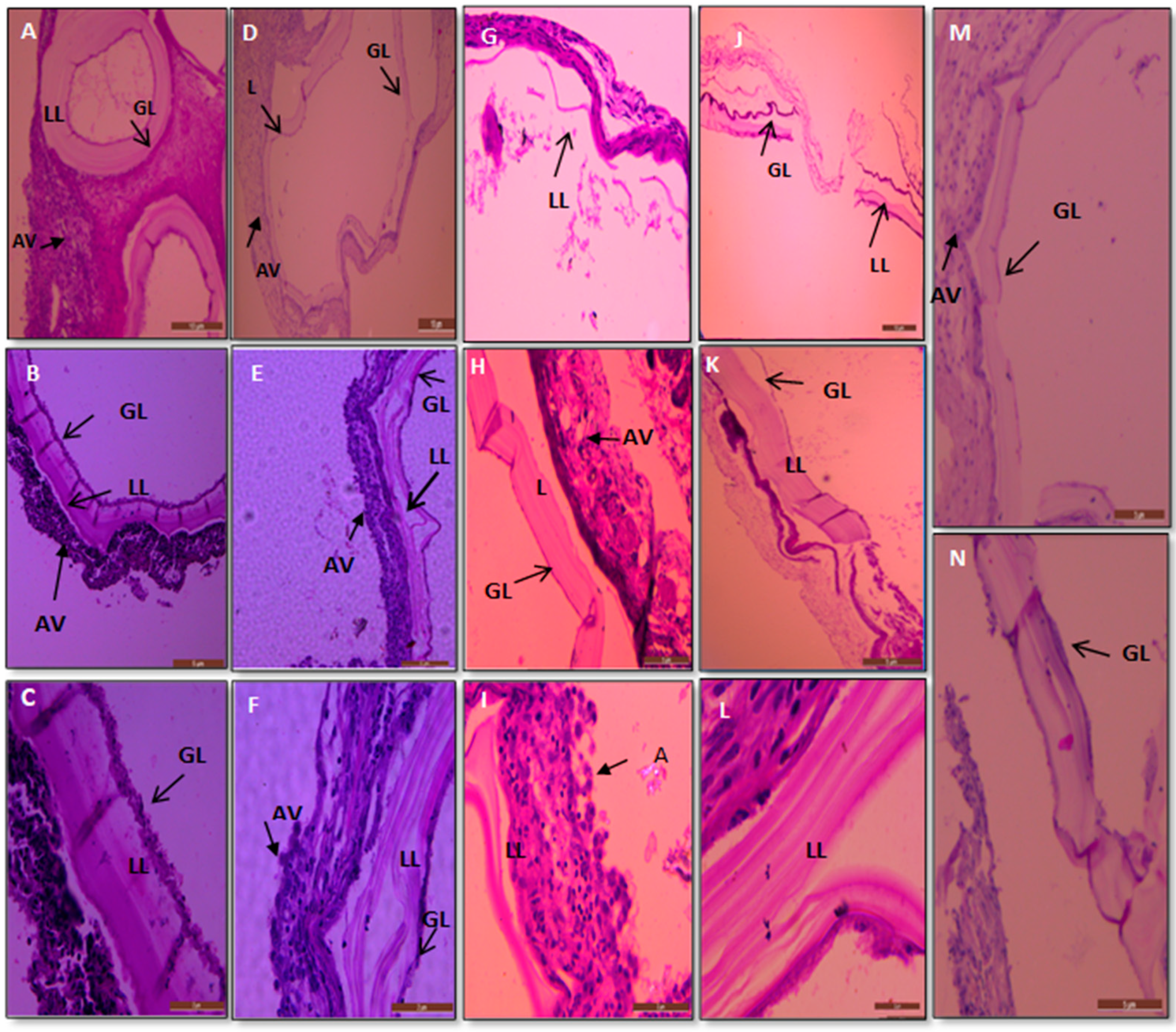 Surfaces 05 00004 g010