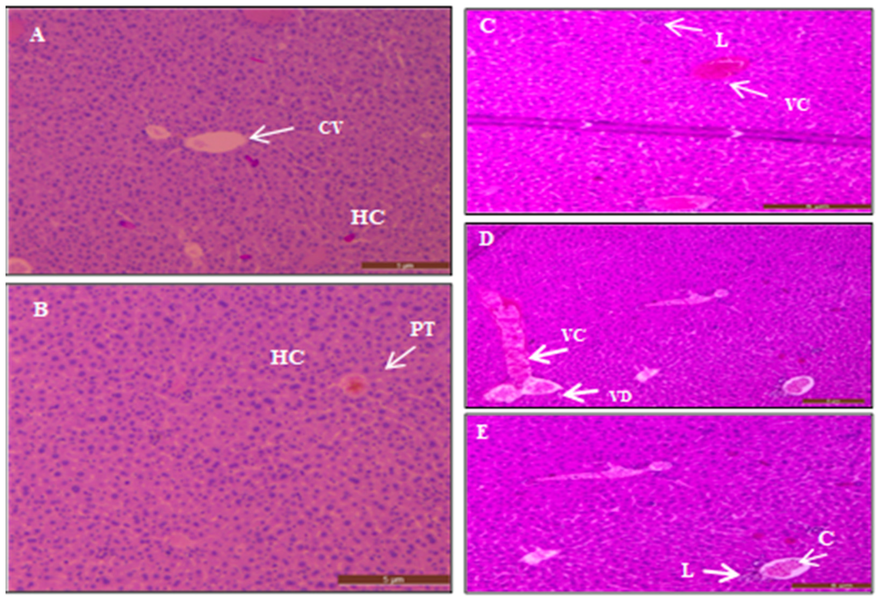 Surfaces 05 00004 g011