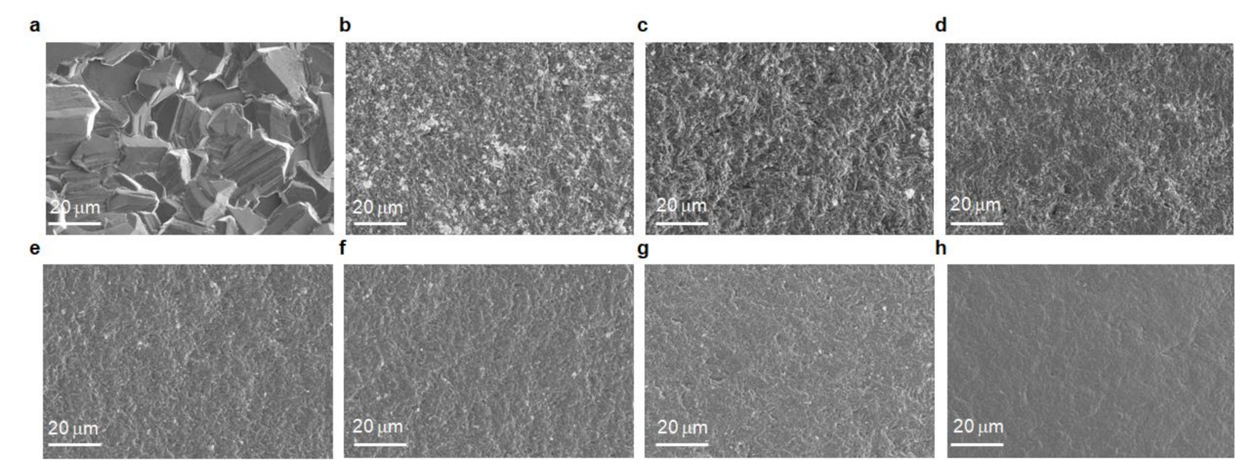 Surfaces 05 00008 g002