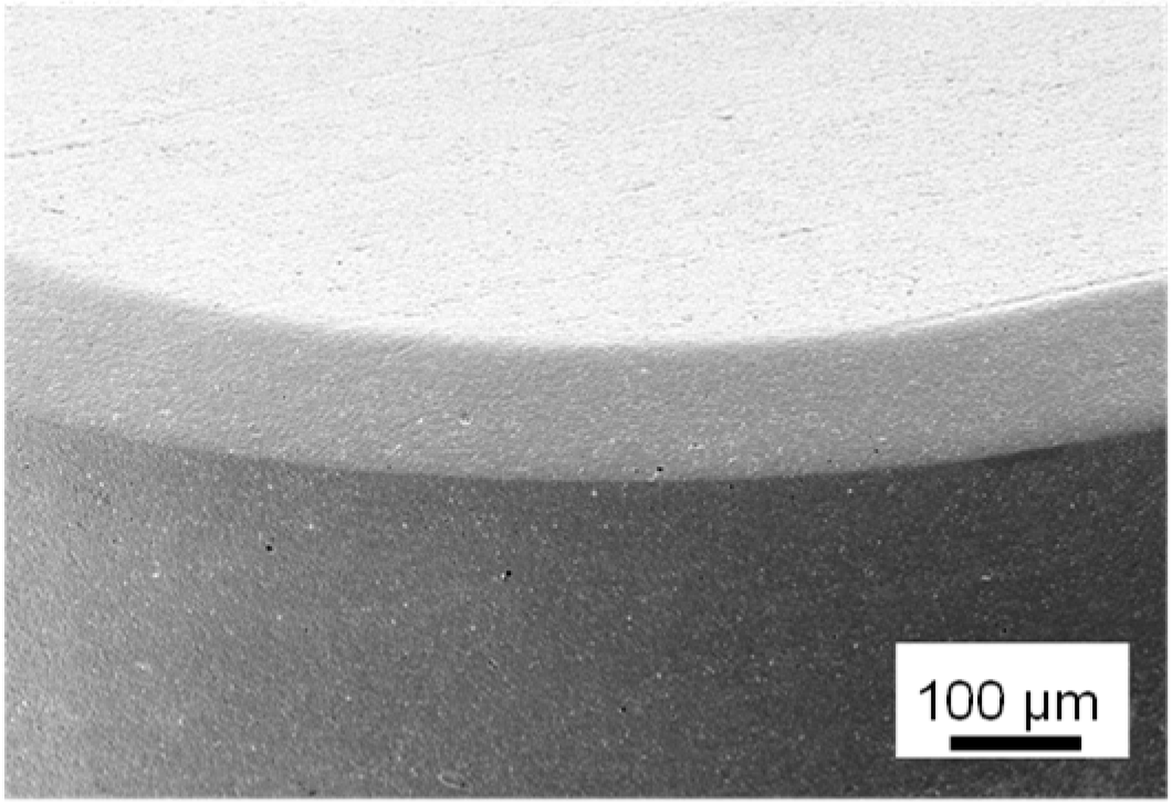 Surfaces 05 00029 i002