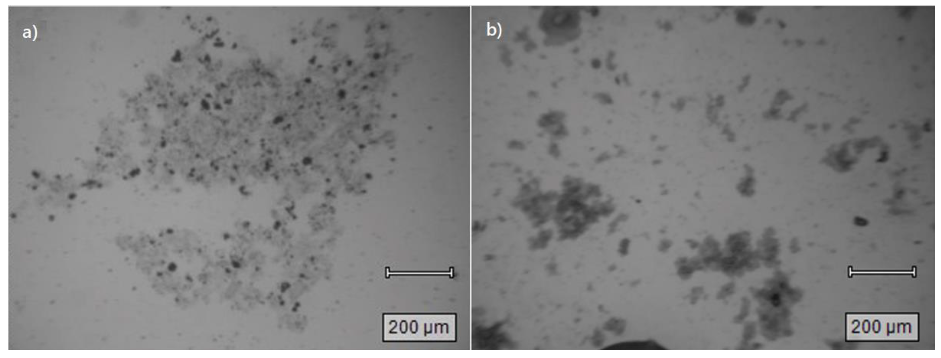 Surfaces 05 00030 g007