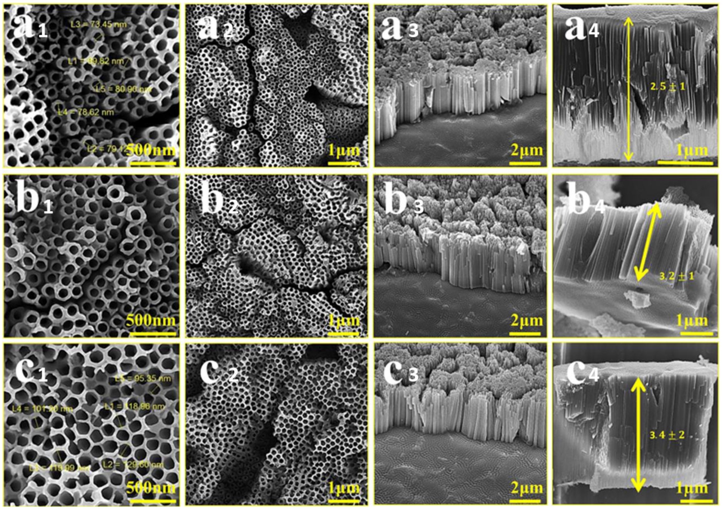 Surfaces 05 00033 g001