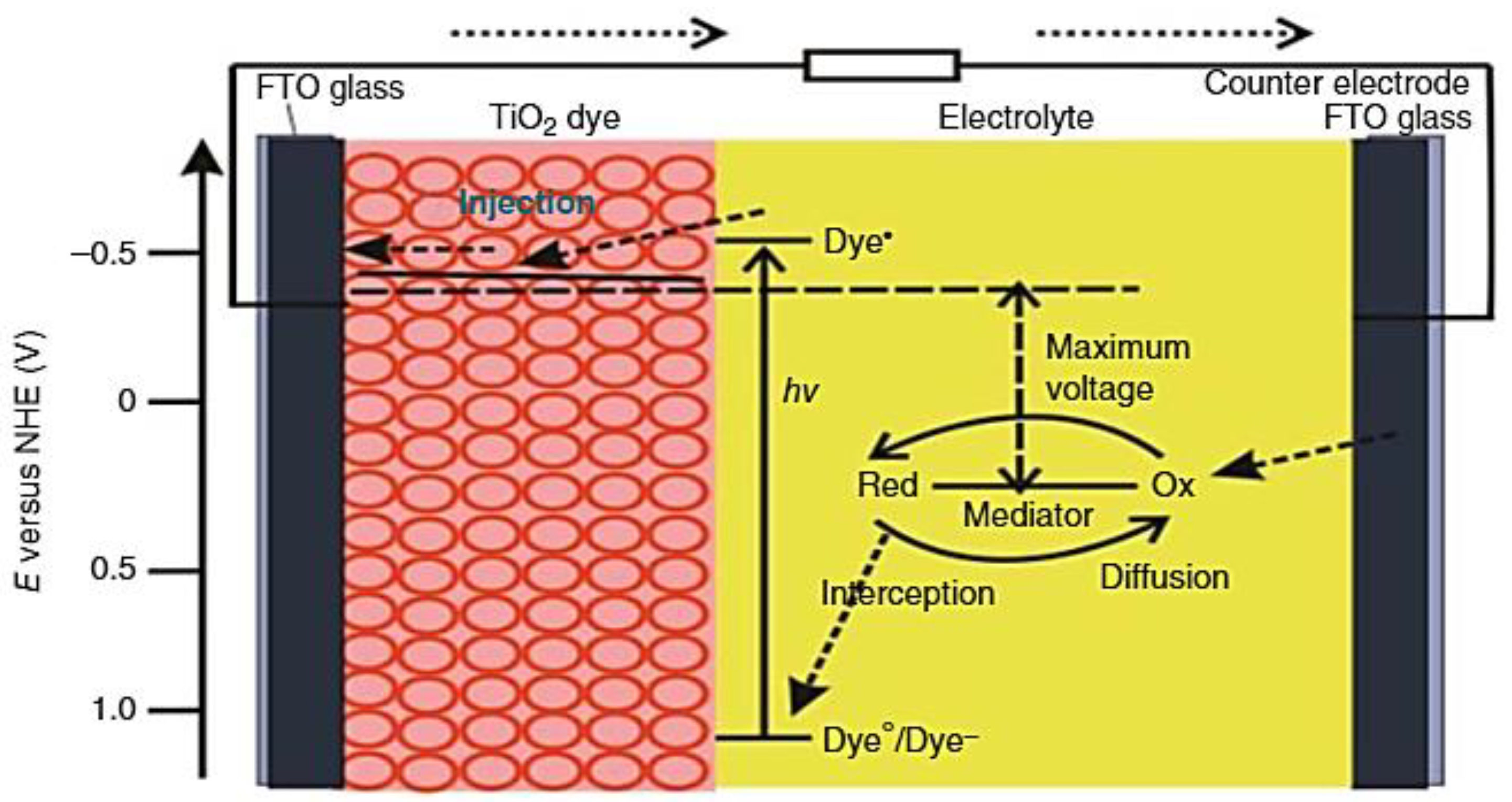 Surfaces 05 00033 g006