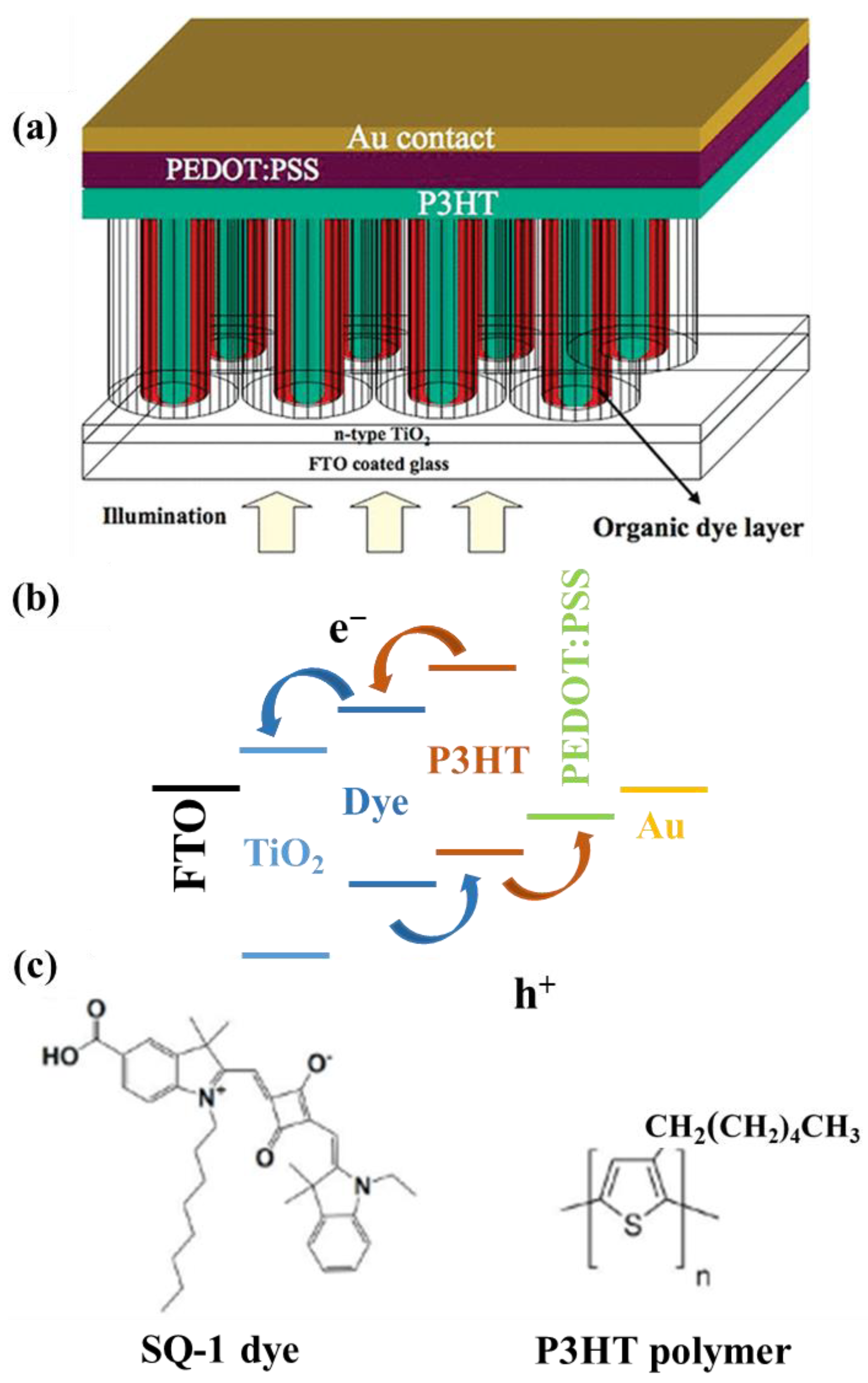 Surfaces 05 00033 g007