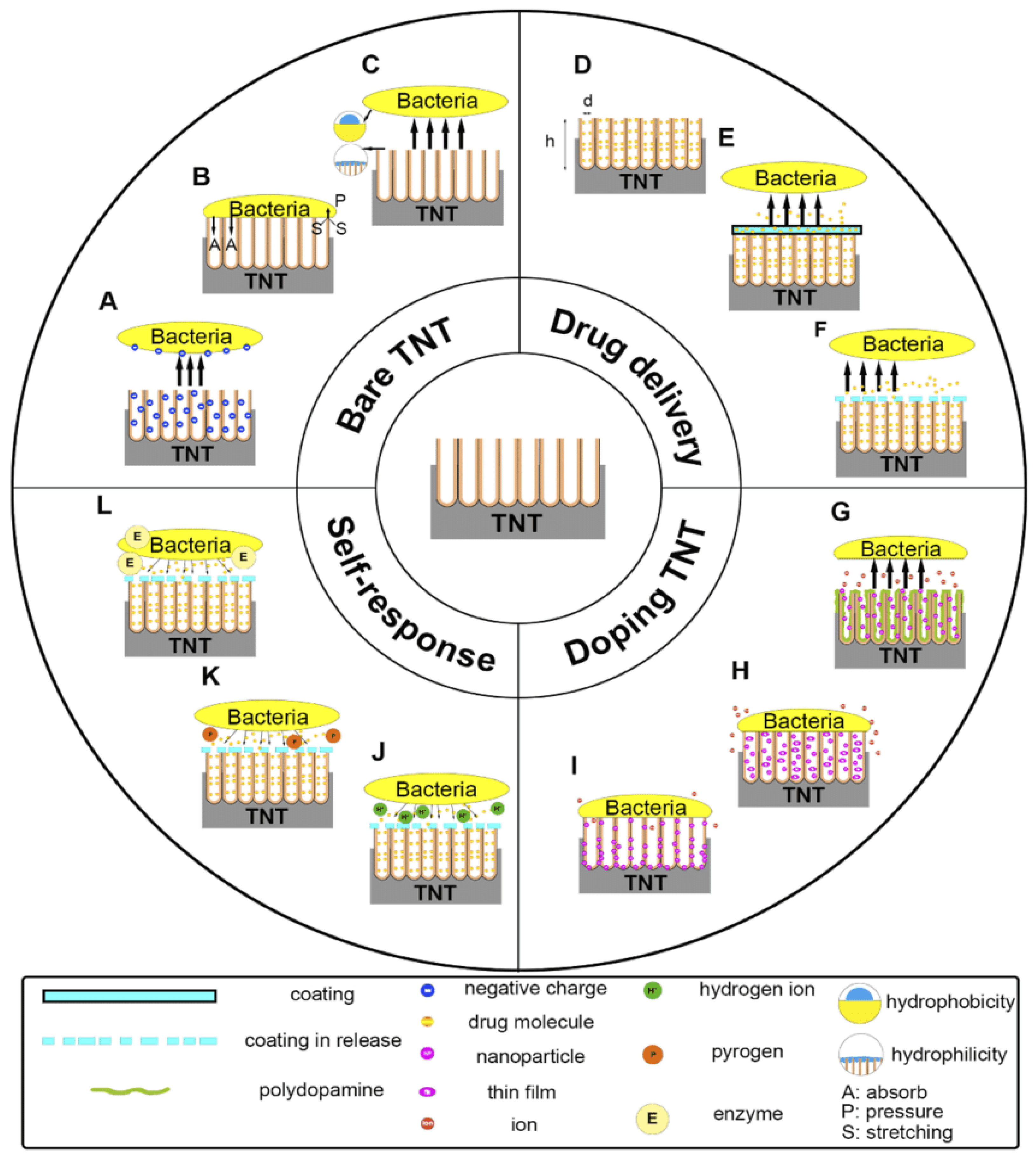 Surfaces 05 00033 g008