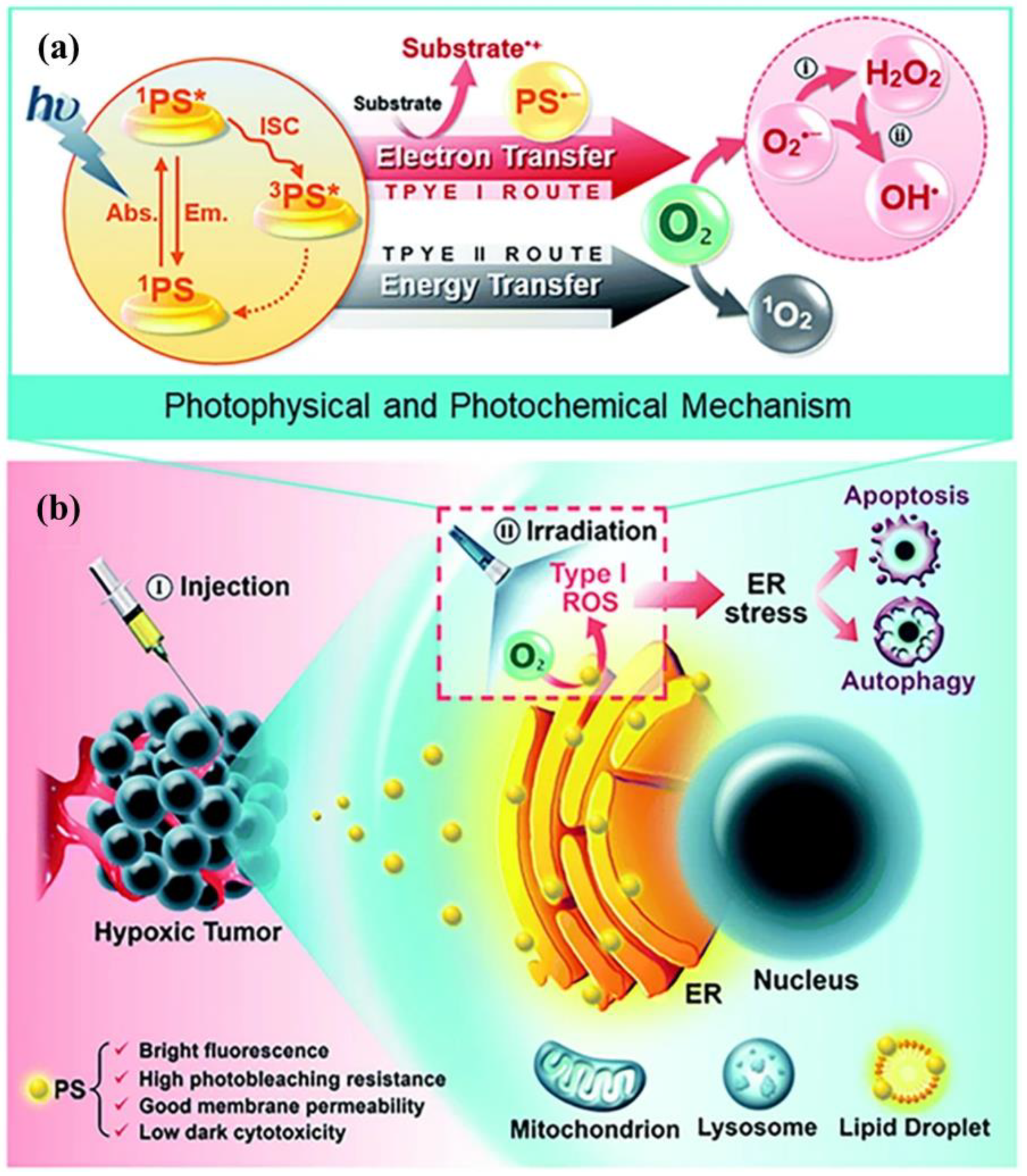 Surfaces 05 00033 g009