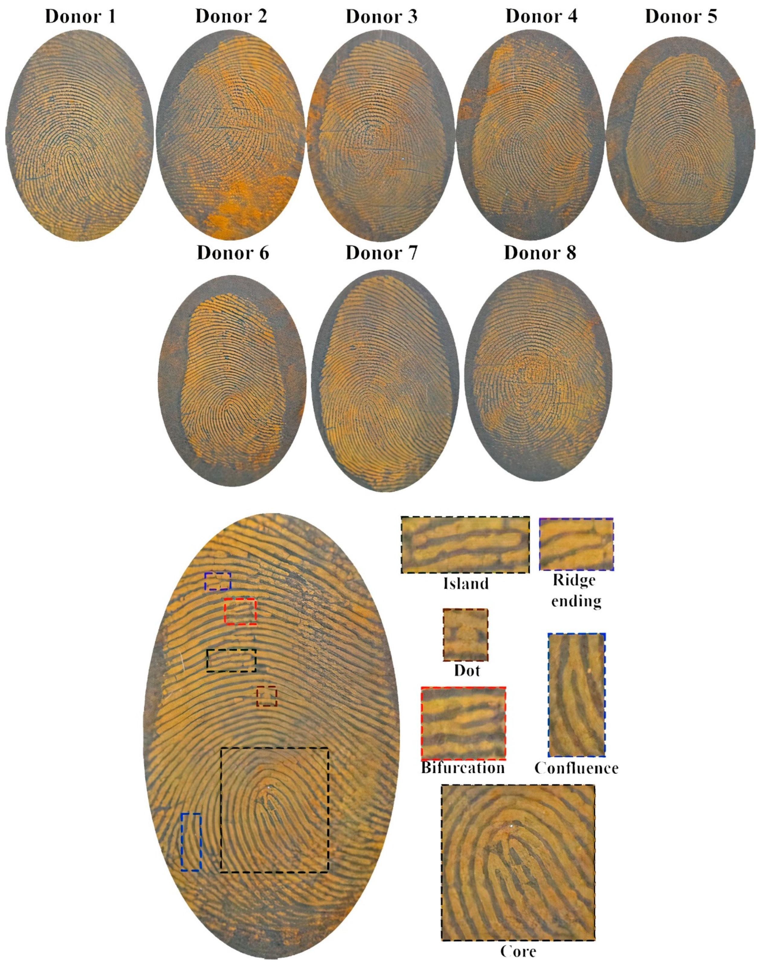 Surfaces 05 00034 g002 Surfaces 05 00034 g002