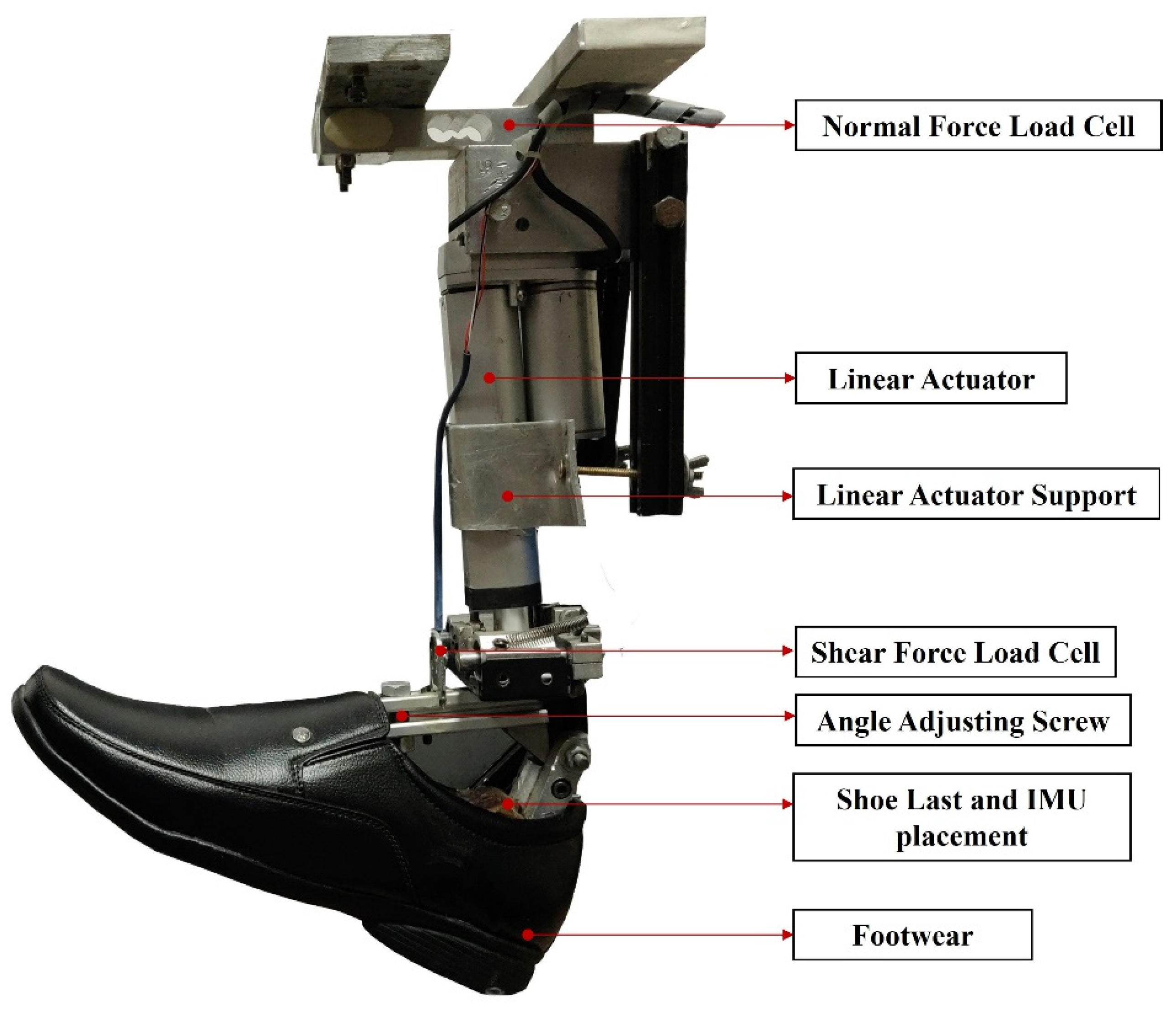 Surfaces 05 00036 g003