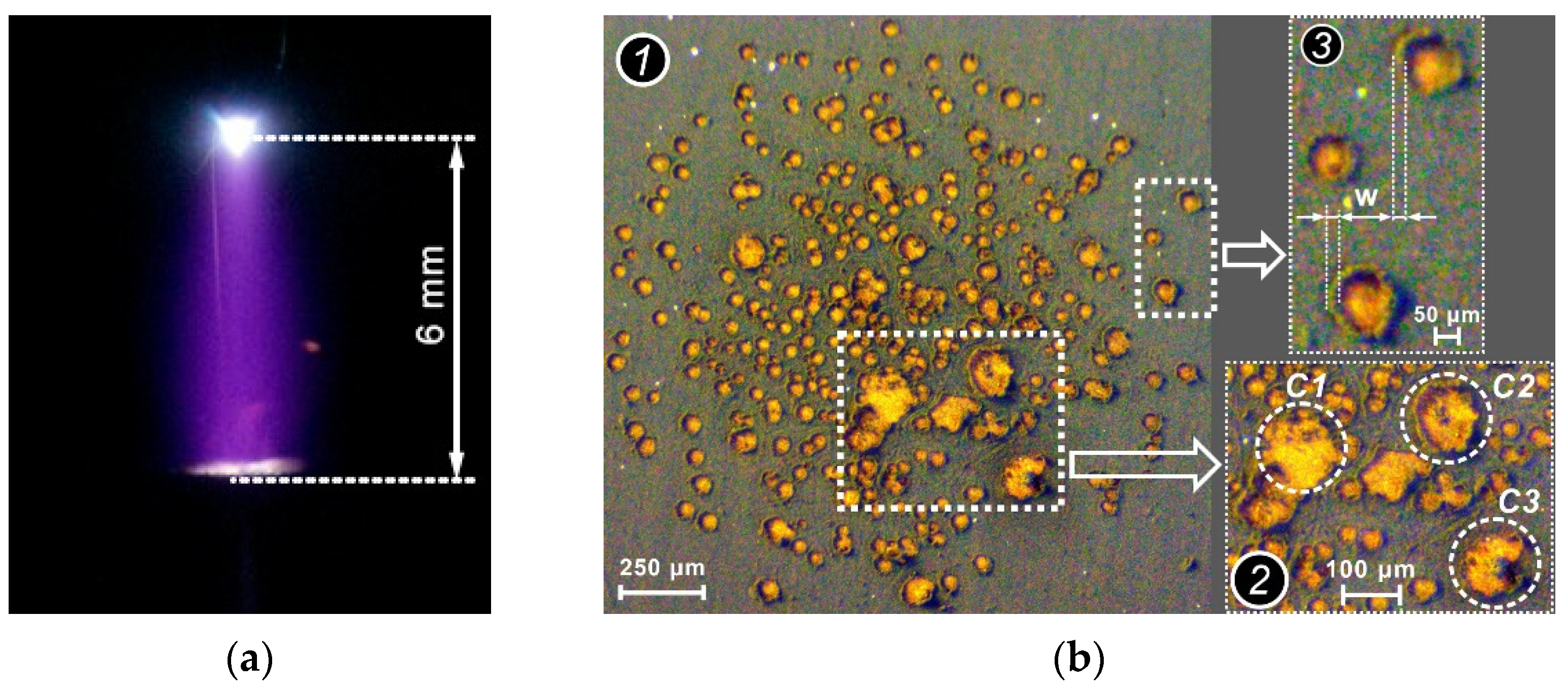 Surfaces 06 00004 g005