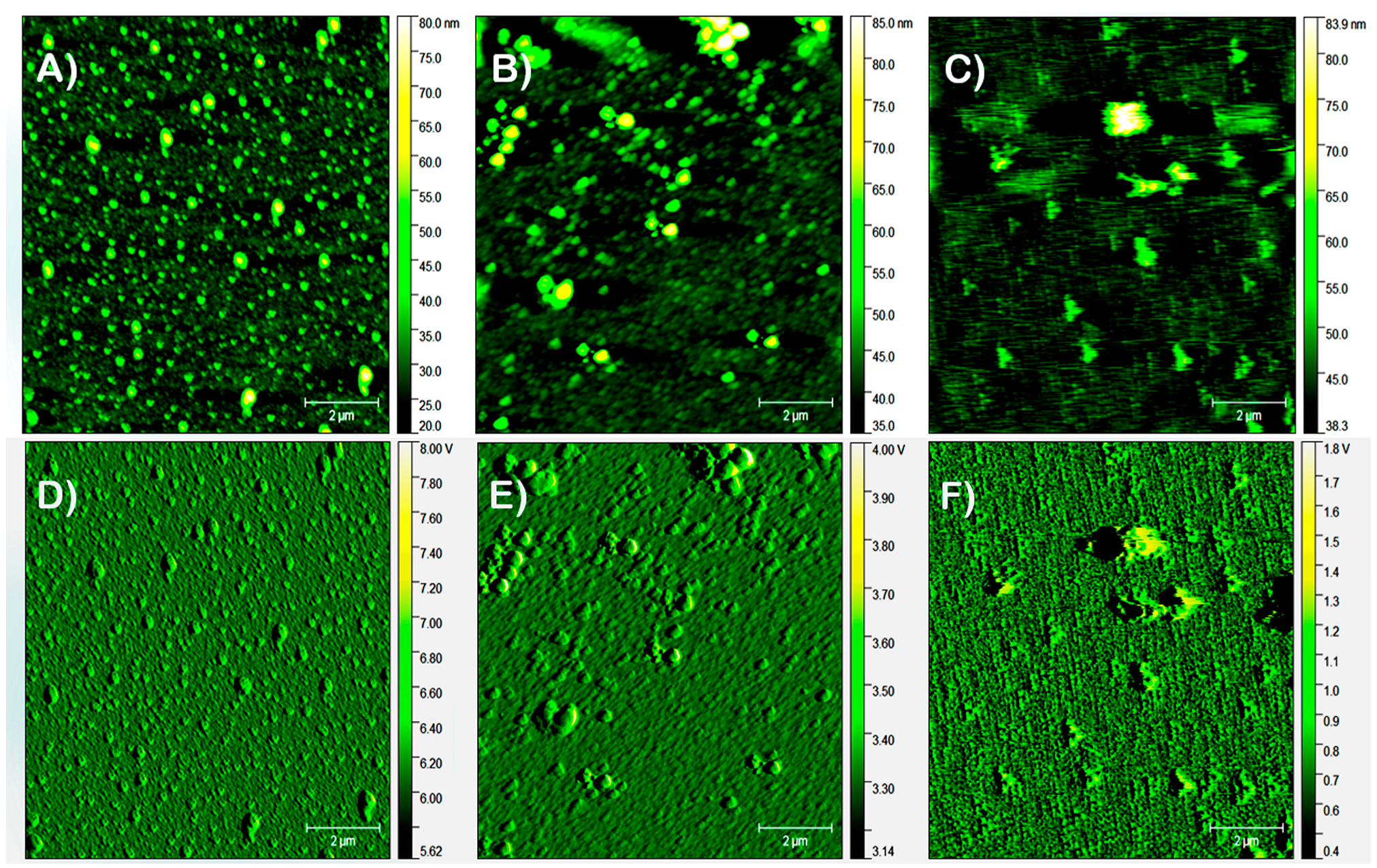 Surfaces 06 00009 g004