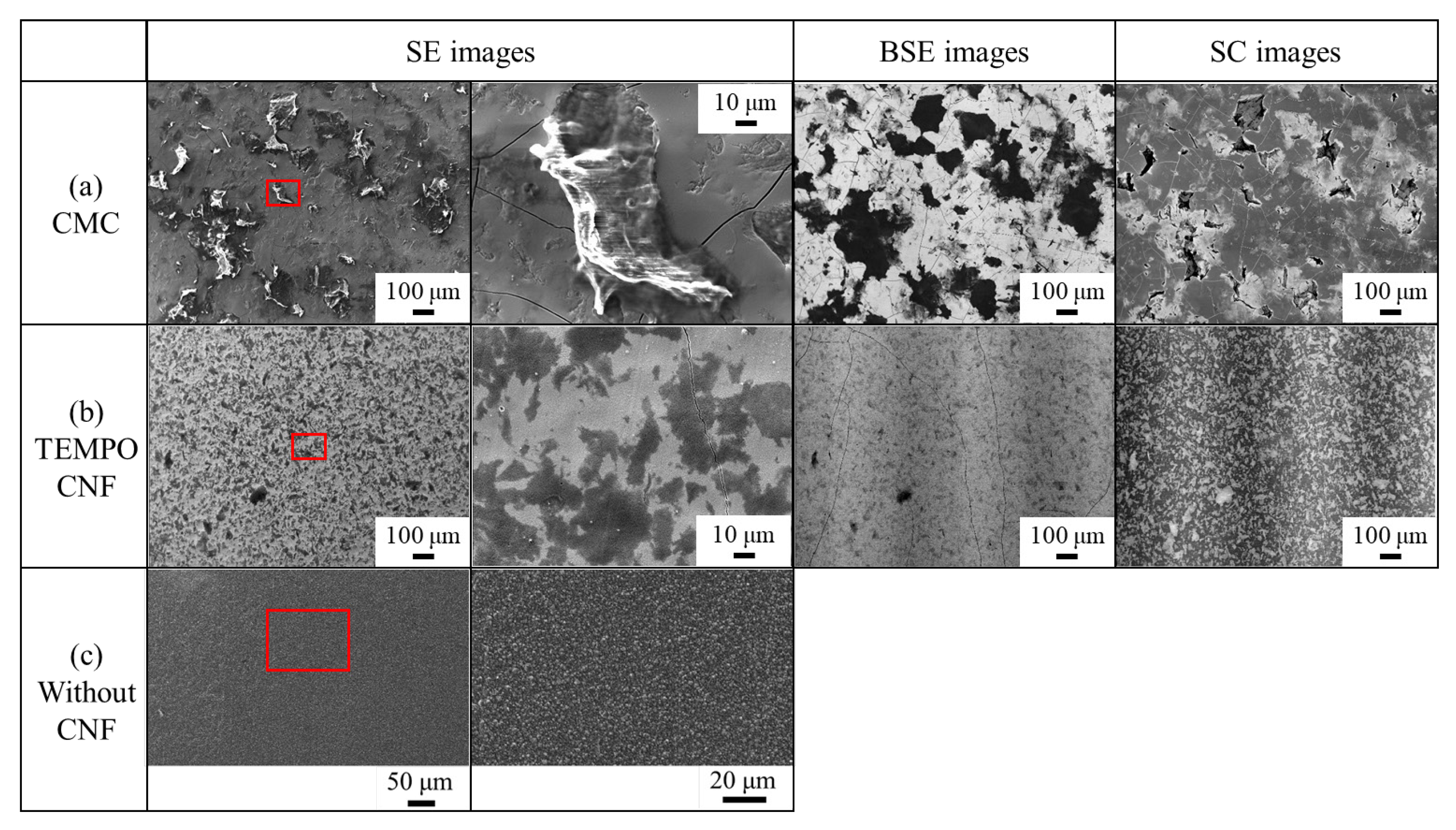 Surfaces 06 00012 g007