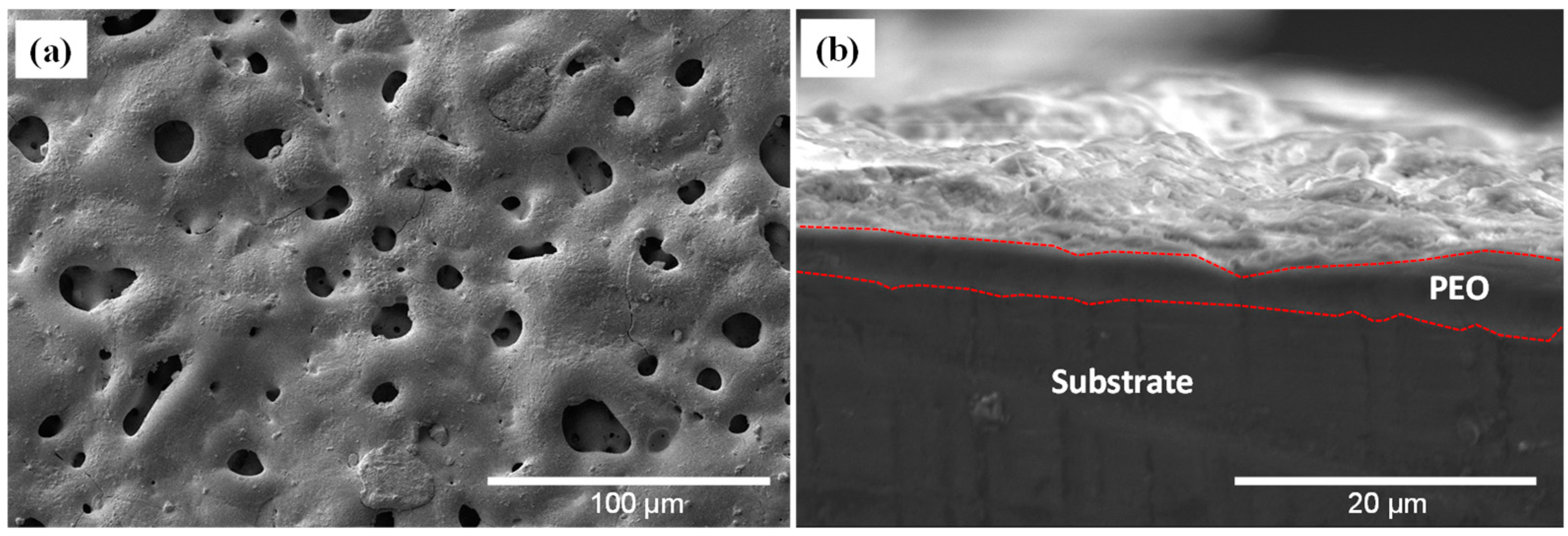 Surfaces 06 00026 g002