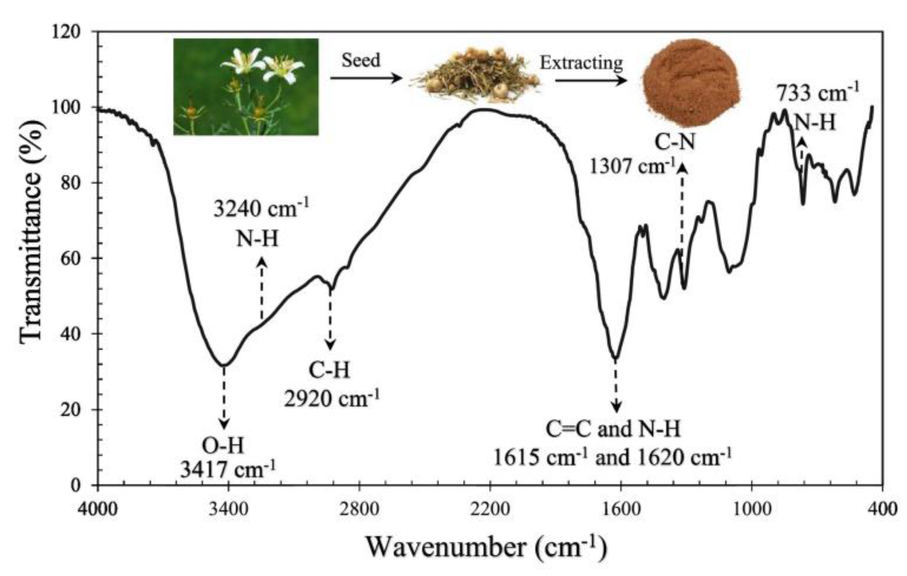 Surfaces 06 00027 g008