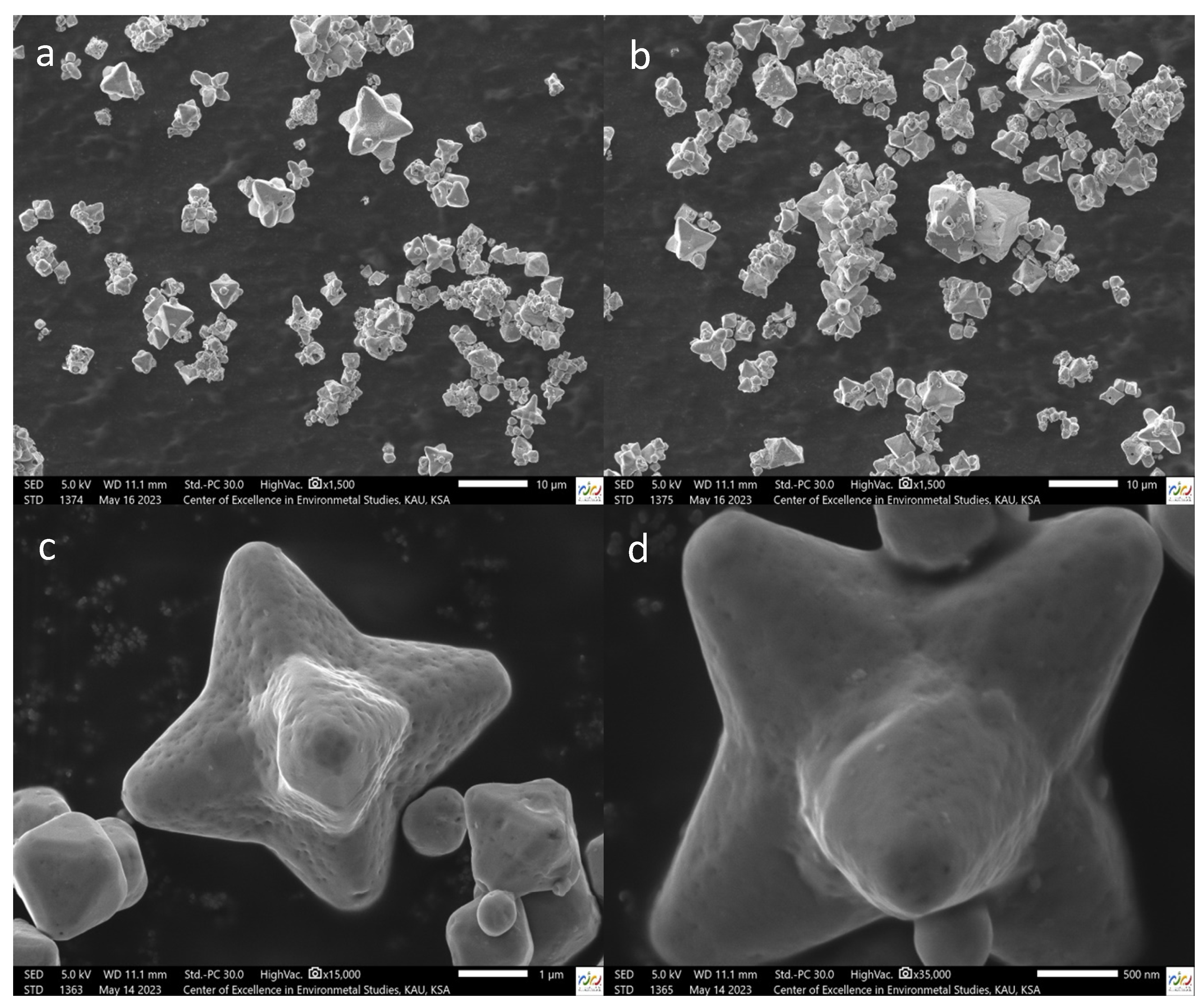 Surfaces 06 00029 g005