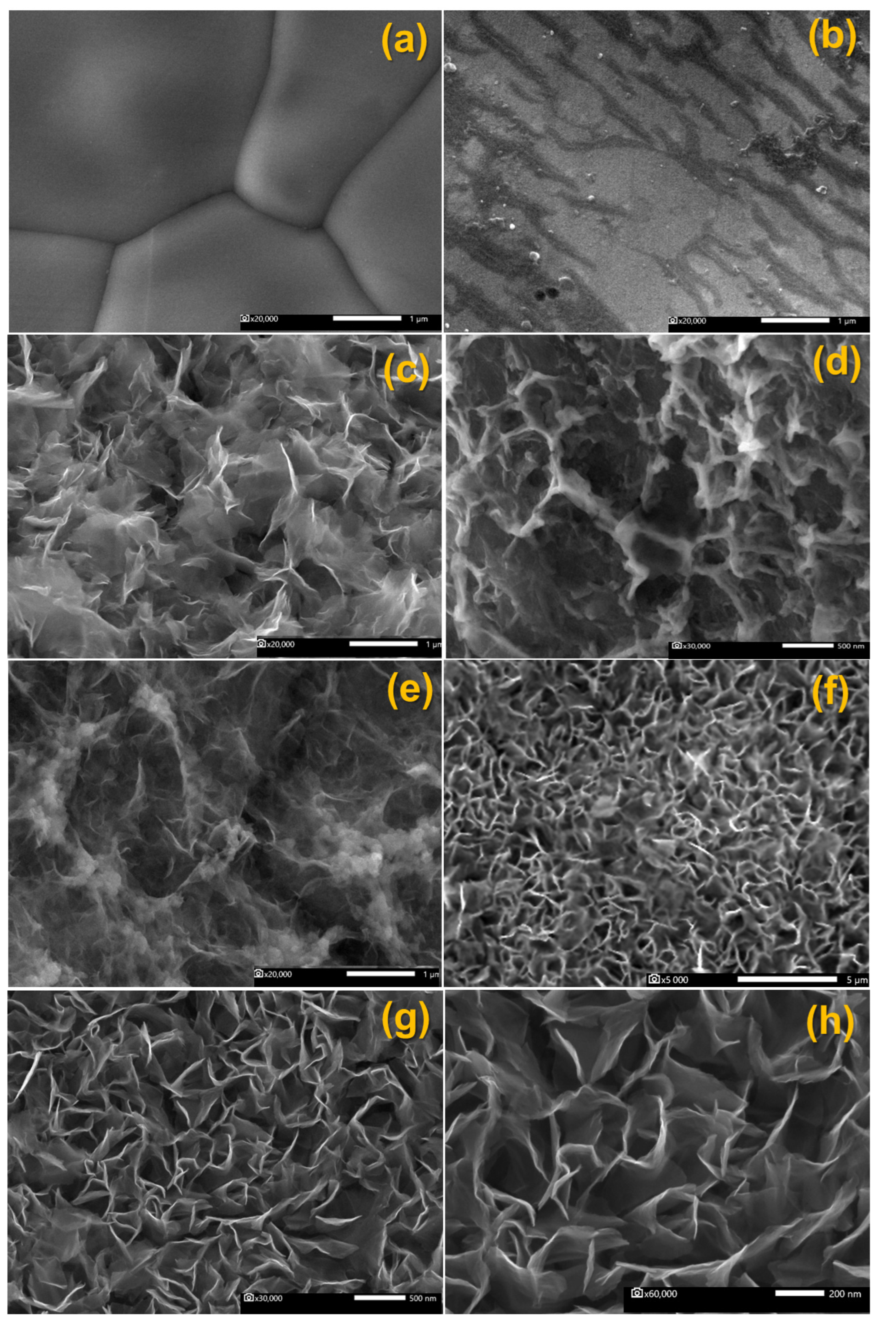 Surfaces 06 00033 g002