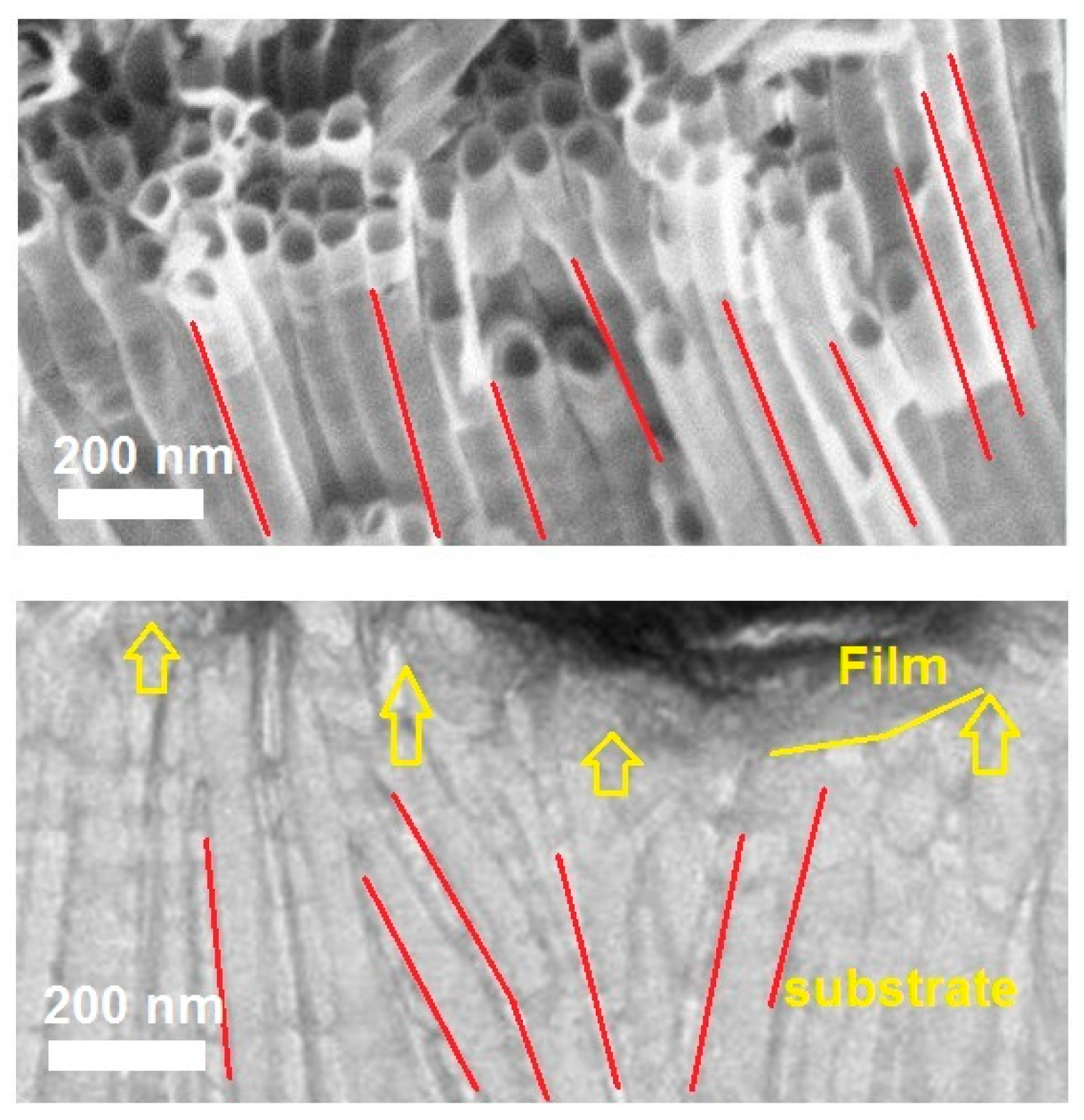 Surfaces 07 00001 g006
