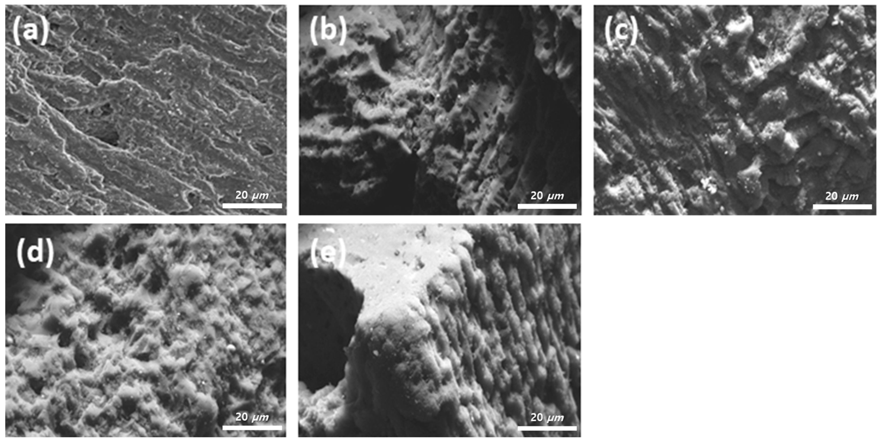 Surfaces 07 00002 g001