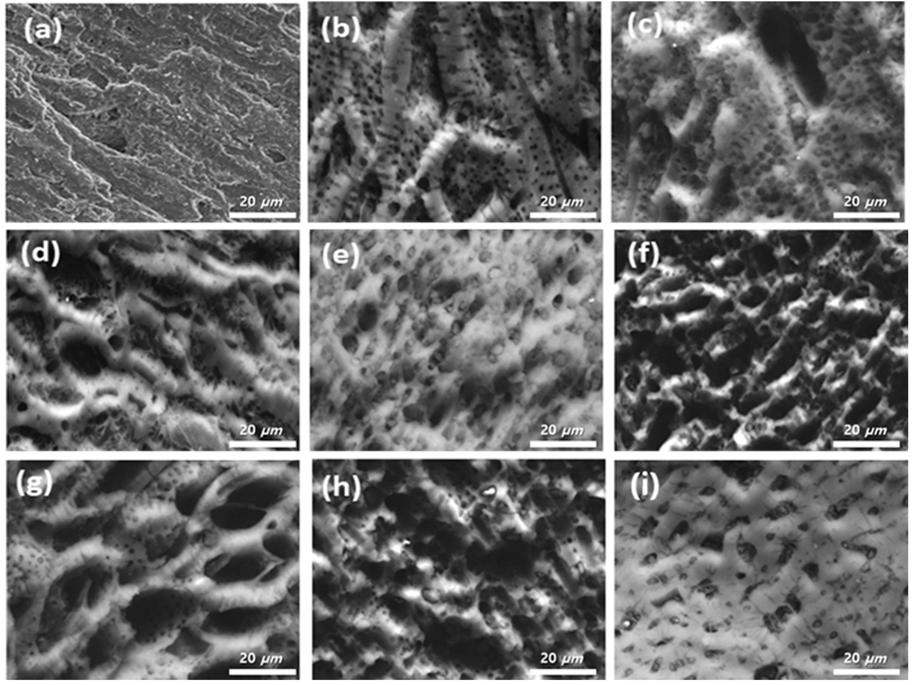 Surfaces 07 00002 g002