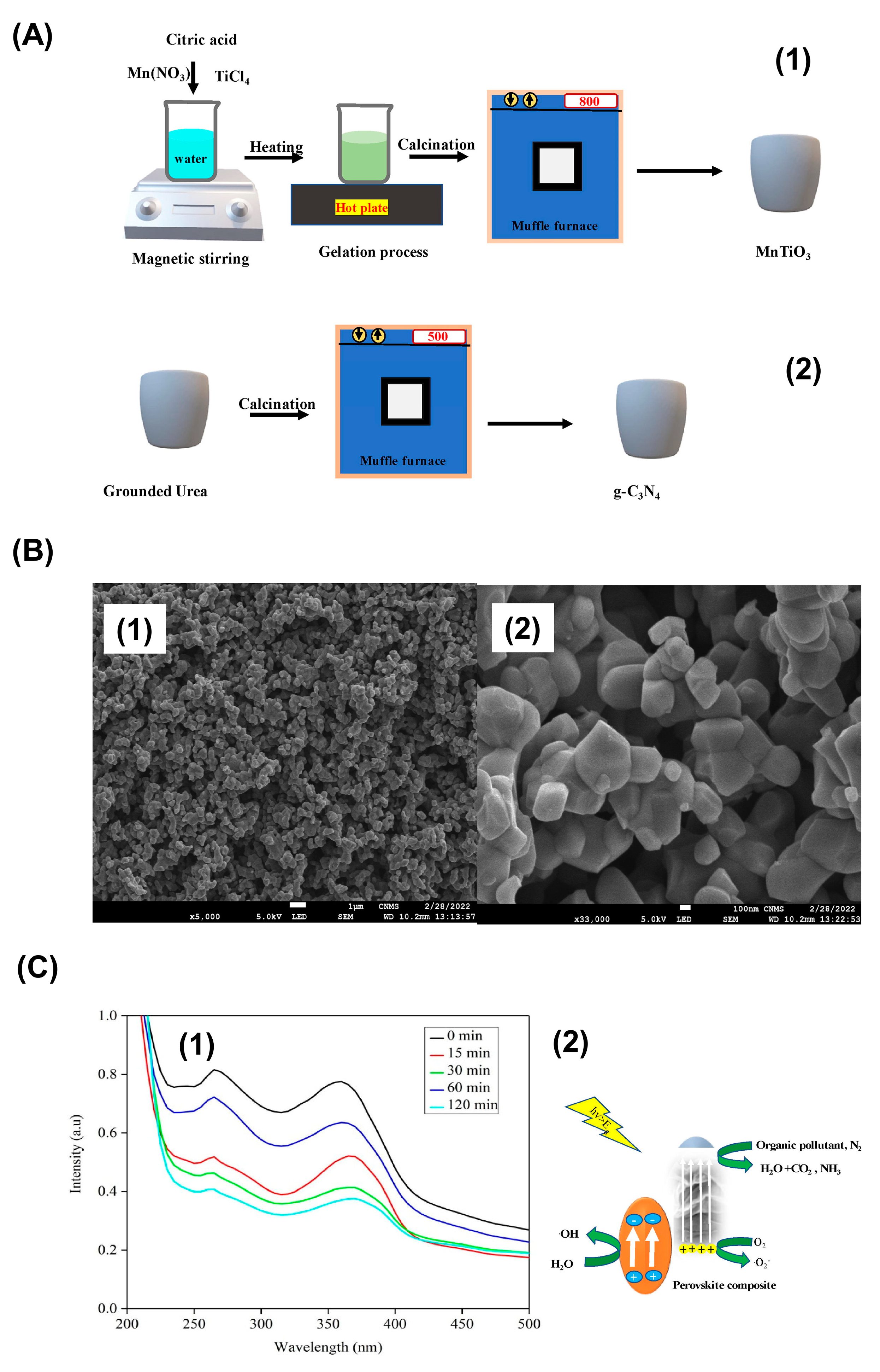 Surfaces 07 00005 g011