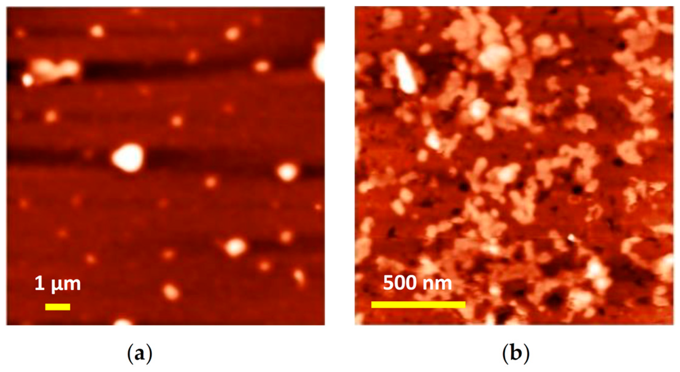 Surfaces 07 00008 g007