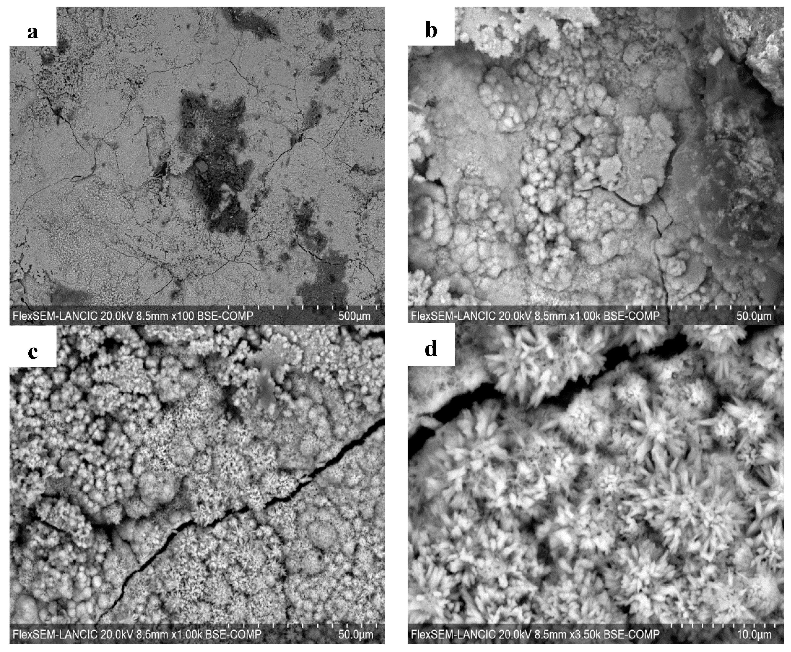 Surfaces 07 00010 g004