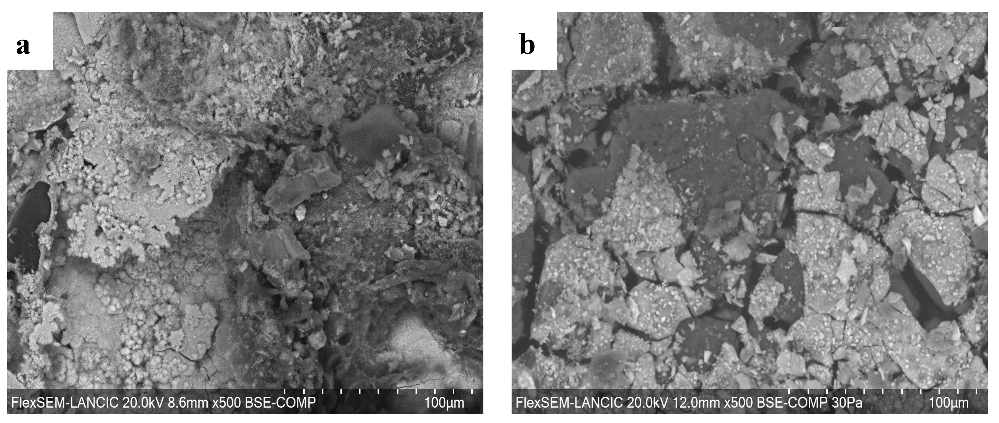 Surfaces 07 00010 g017