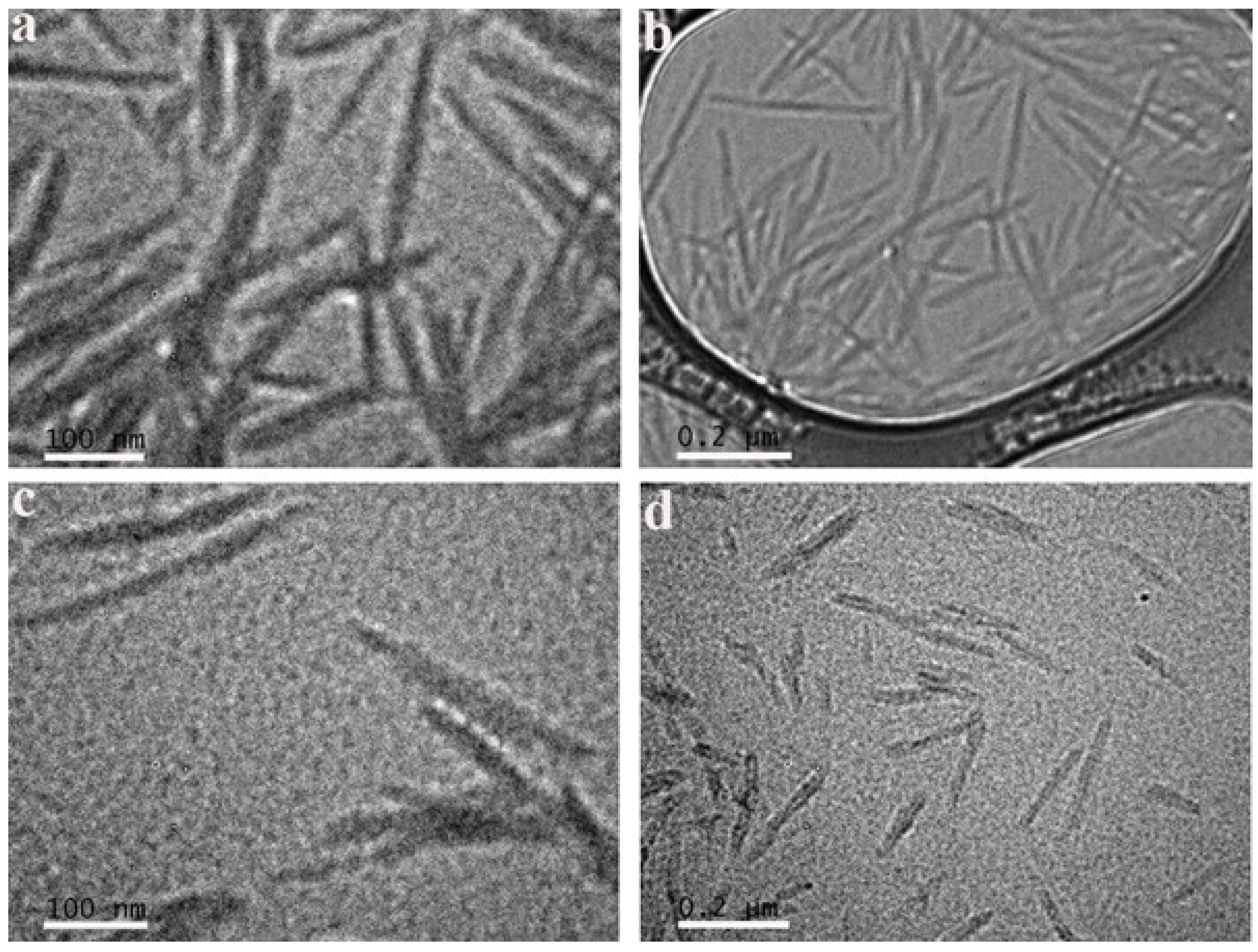 Surfaces 07 00027 g005