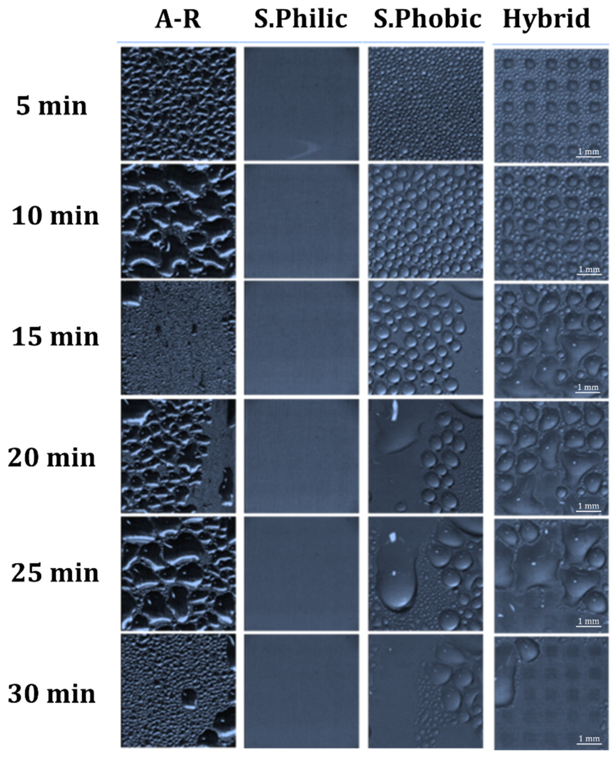 Surfaces 07 00033 g002