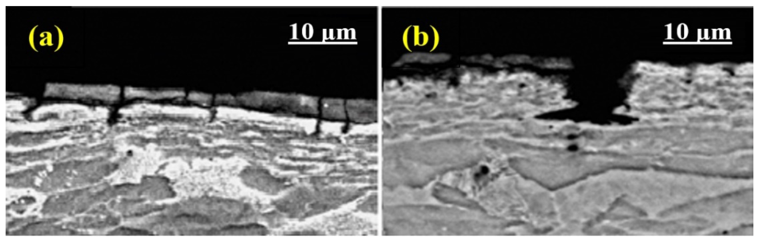 Surfaces 07 00040 g003 Surfaces 07 00040 g003