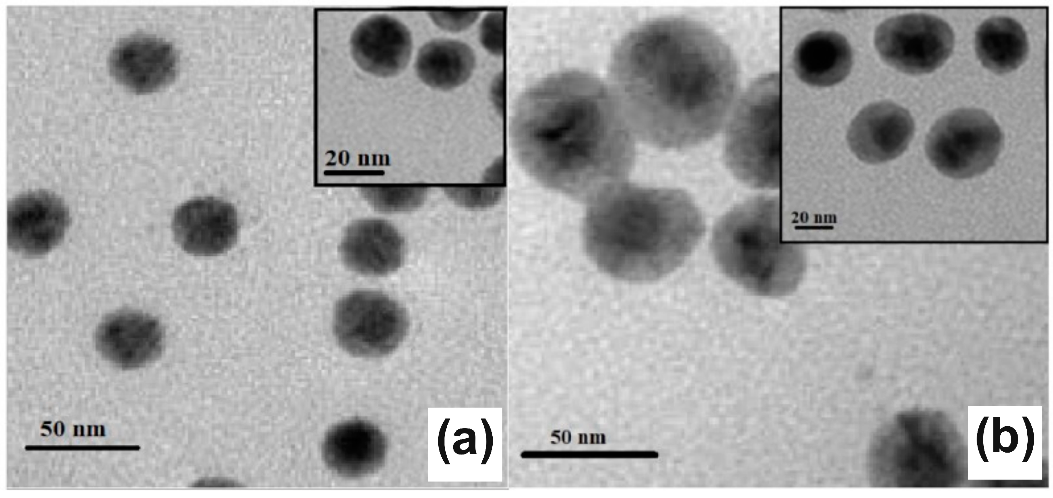 Surfaces 07 00044 g012