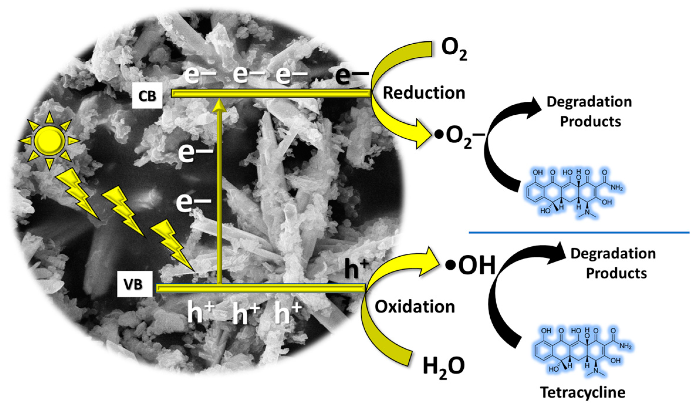 Surfaces 07 00045 g009