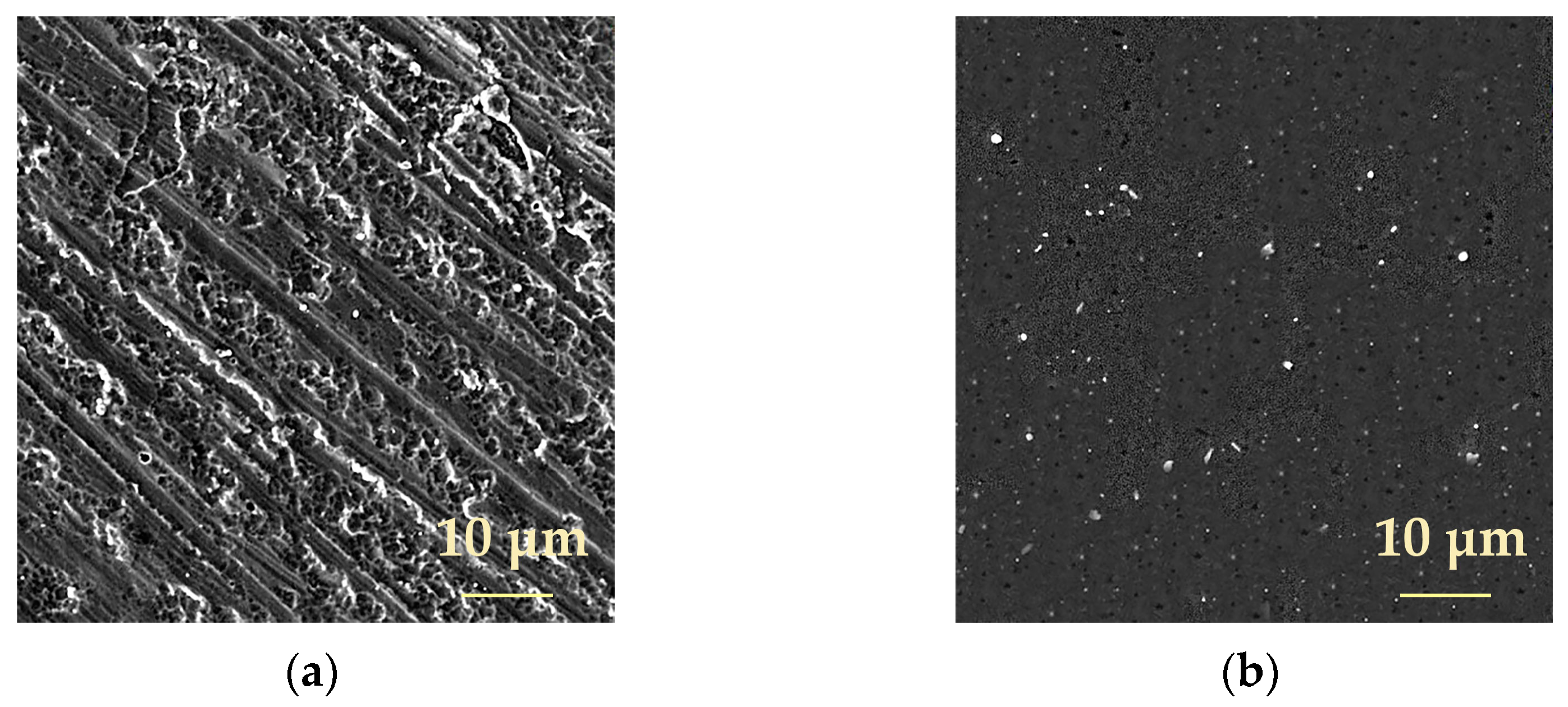 Surfaces 07 00046 g010