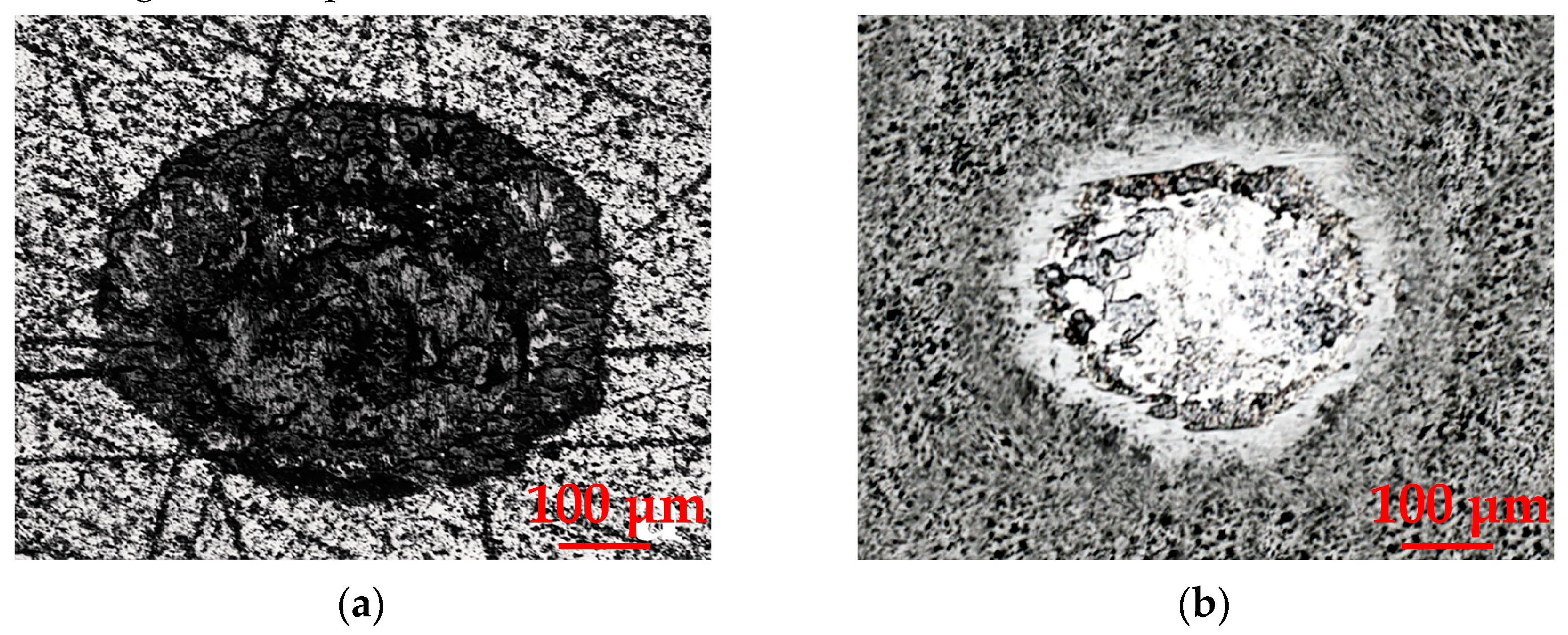 Surfaces 07 00046 g012