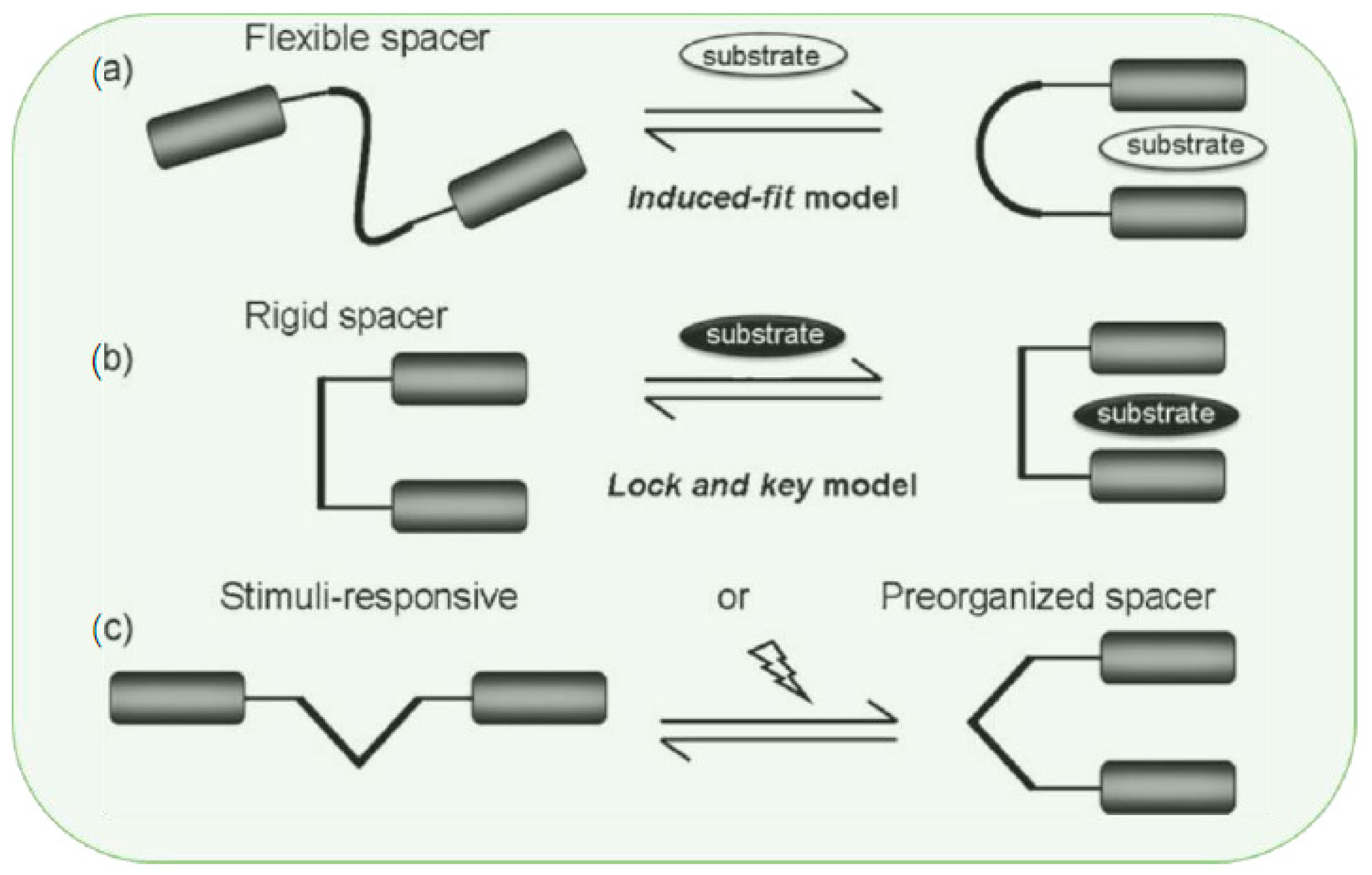 Surfaces 07 00049 sch001 Surfaces 07 00049 sch001