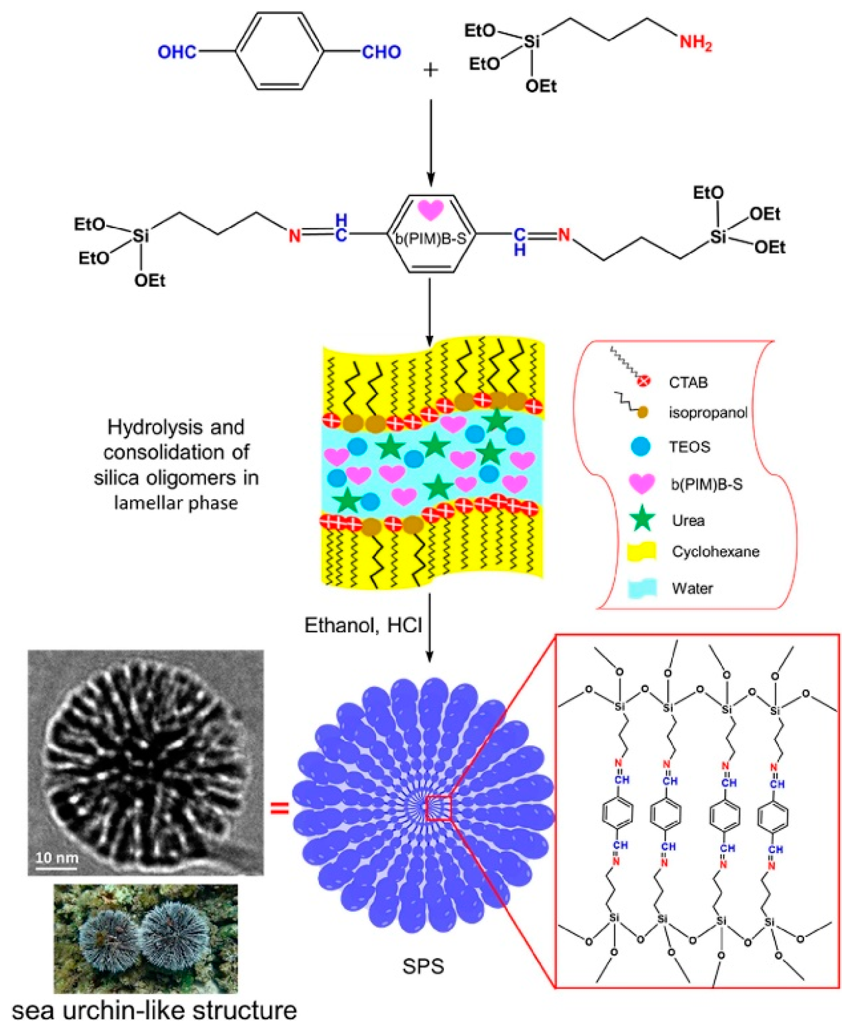 Surfaces 07 00049 sch003 Surfaces 07 00049 sch003