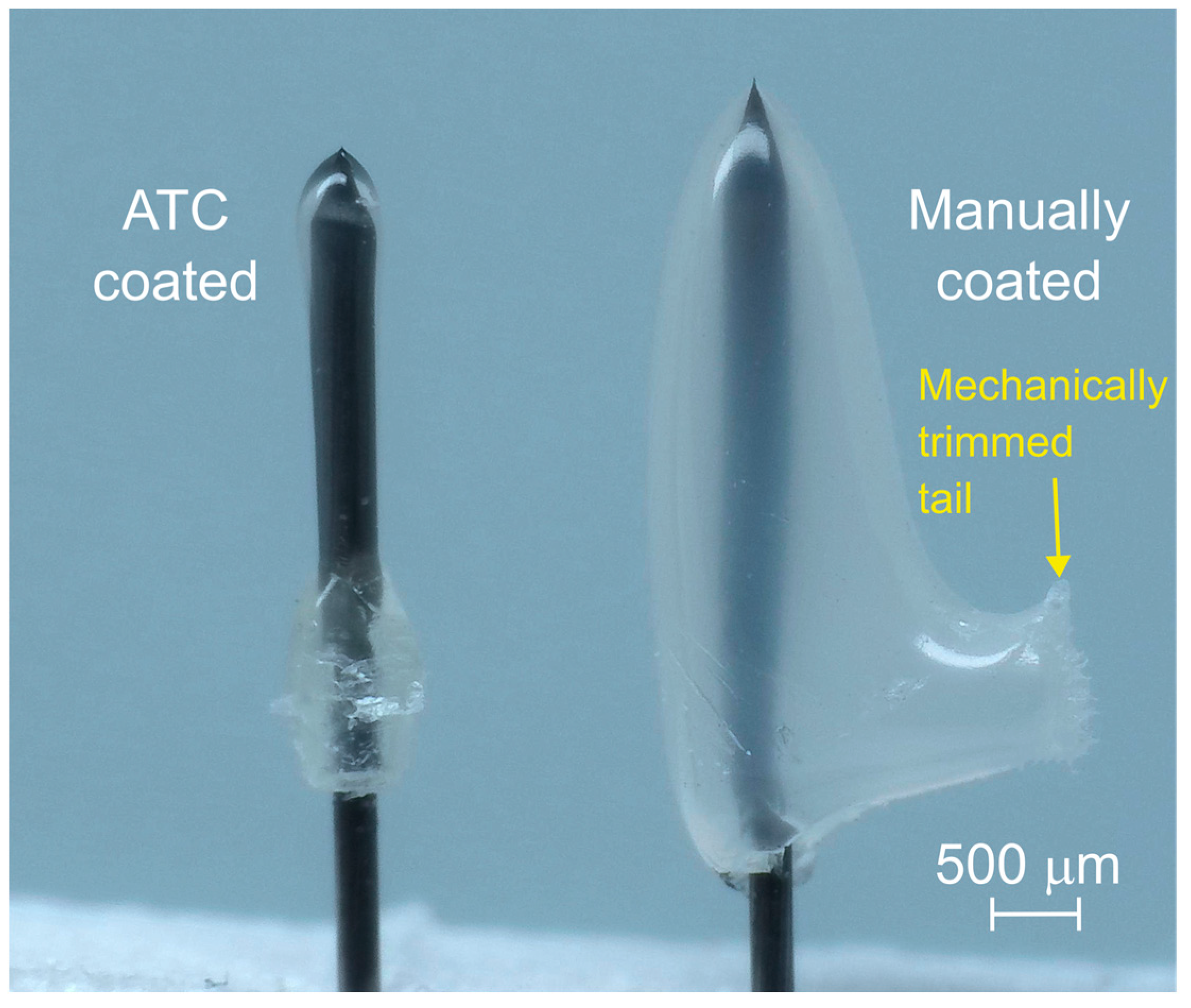 Surfaces 07 00065 g003