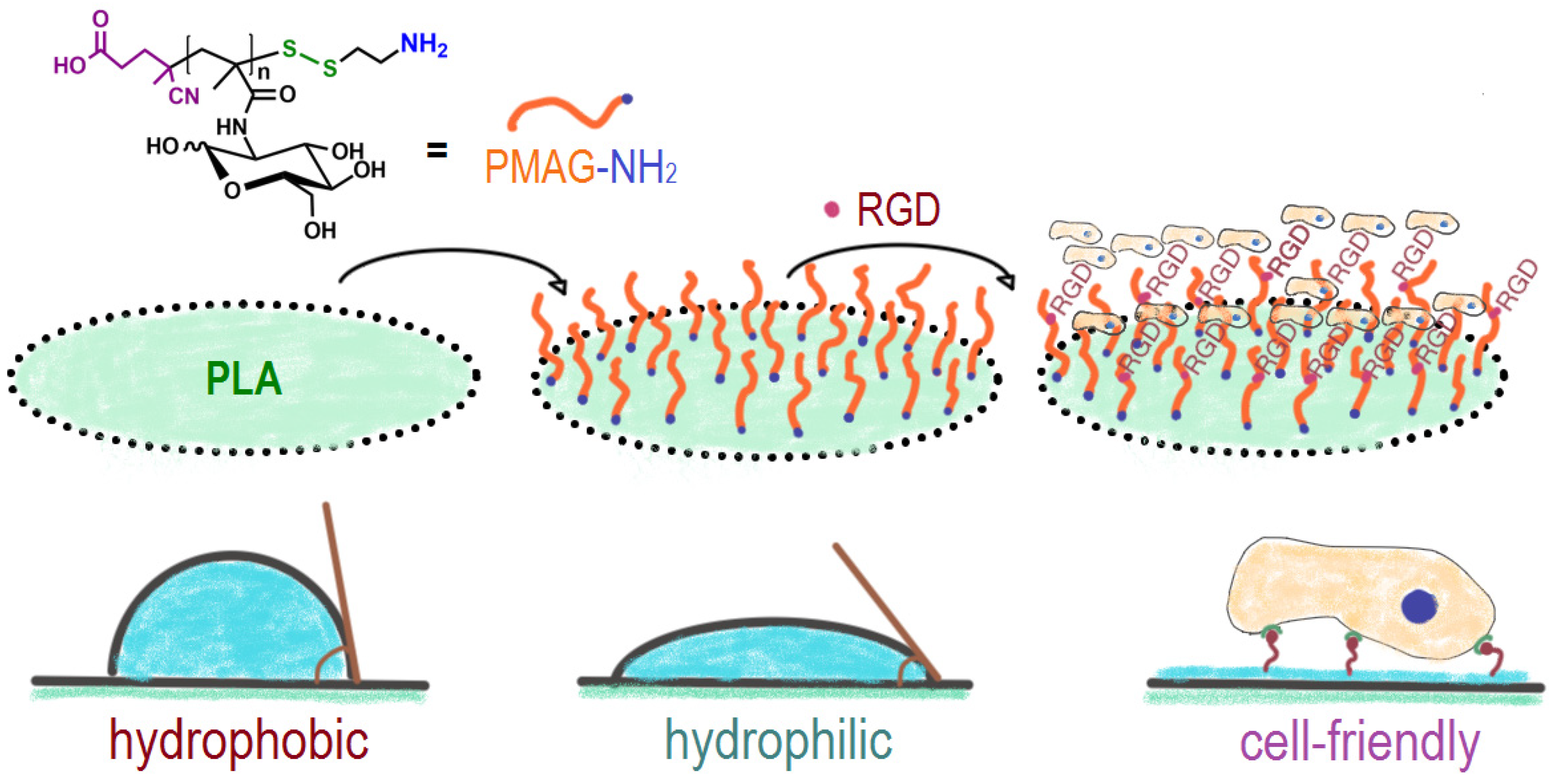 Surfaces 07 00067 g001