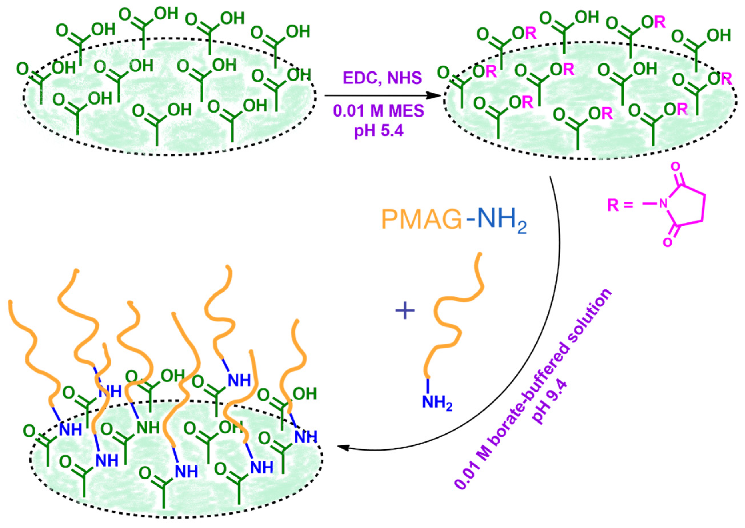 Surfaces 07 00067 g004