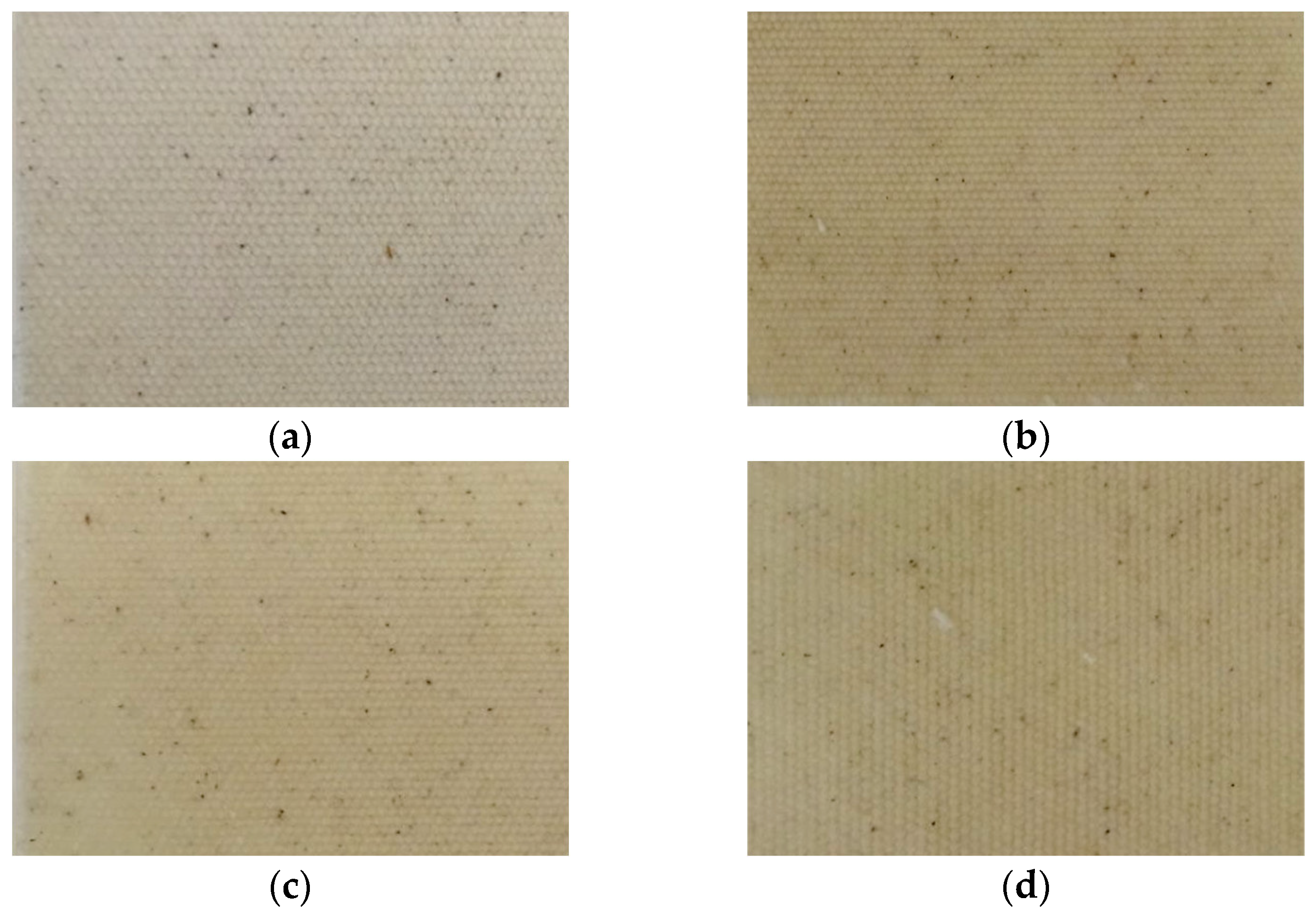 Surfaces 07 00071 g006