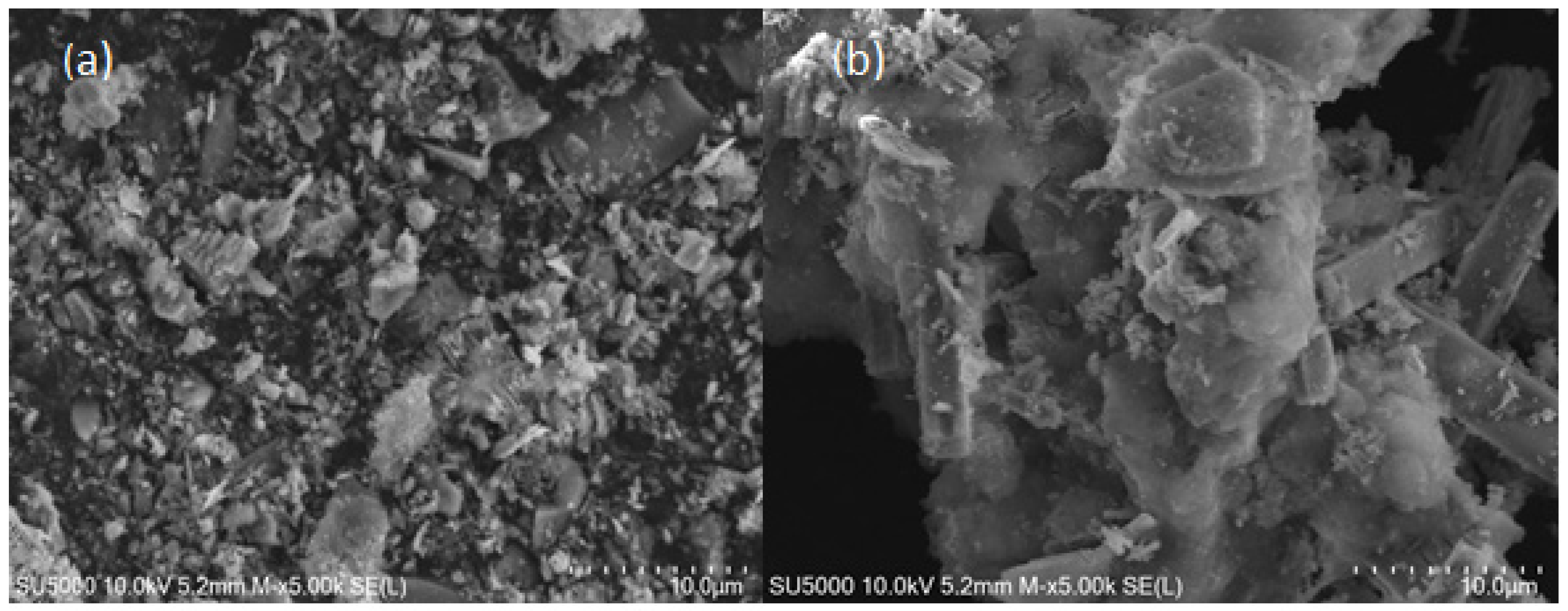 Surfaces 07 00072 g004