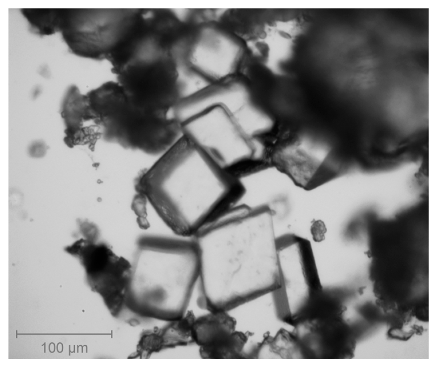 Surfaces 08 00013 g013