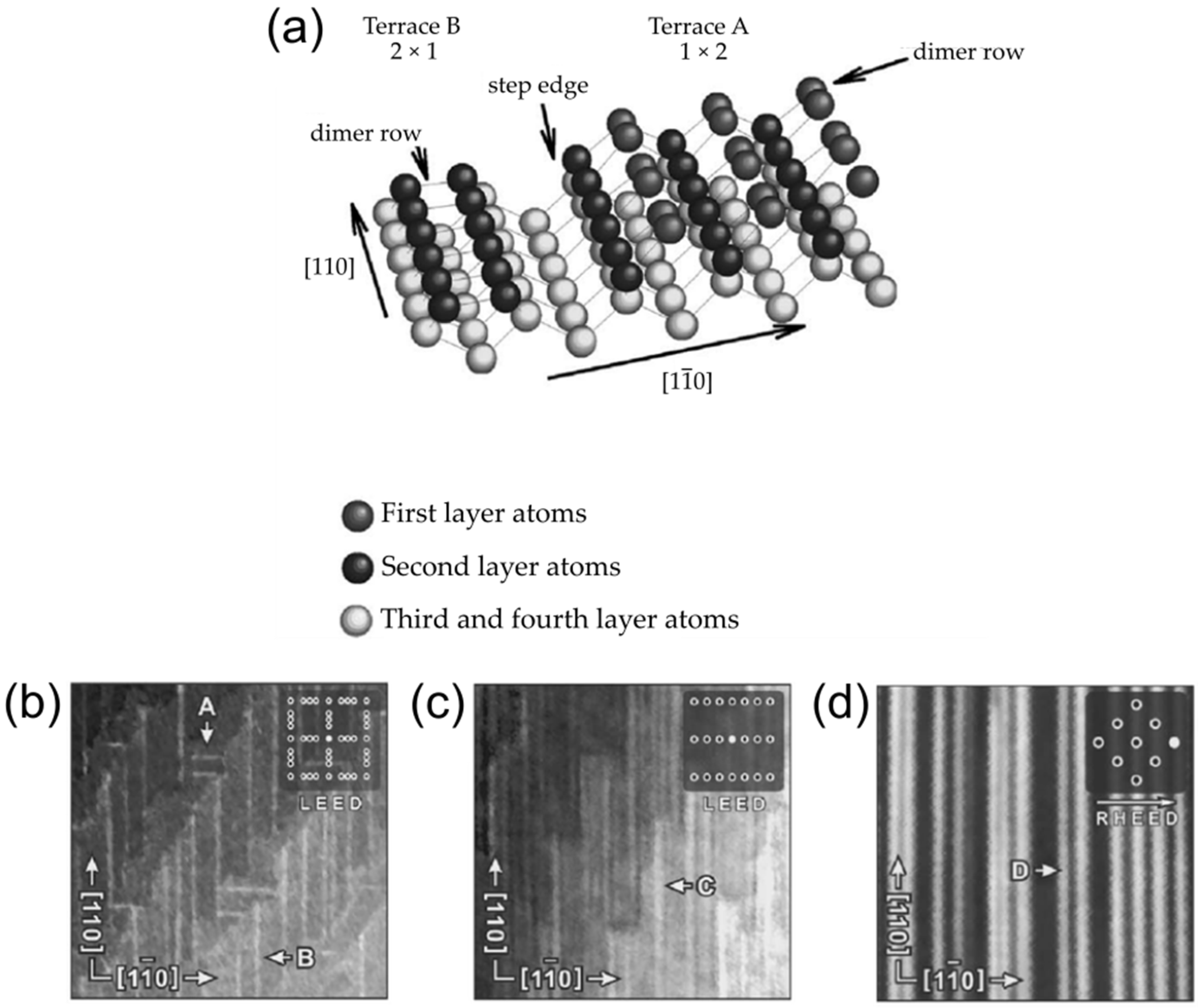 Surfaces 08 00022 g004